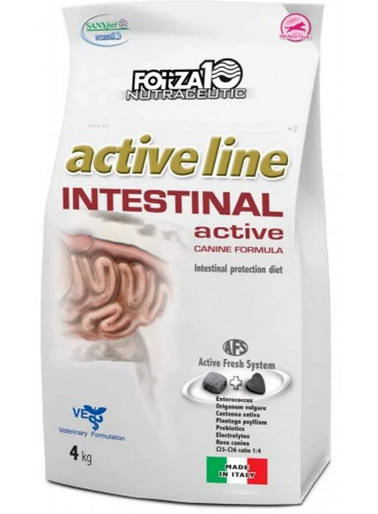 F10 Cane Intestinal Active 4 kg