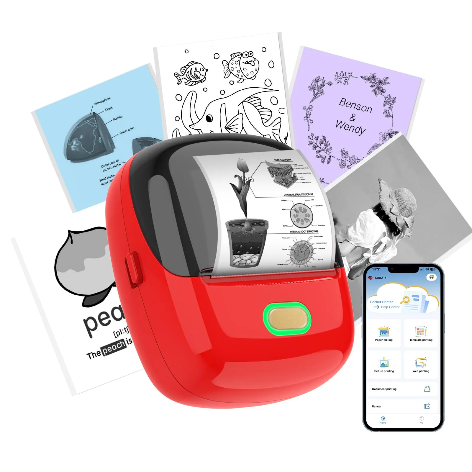 ORGSTA S002 Etichettatrice Bluetooth Portatile Mini Autoadesive Stampante Etichette Adesive per Ufficio, Scuola, negozio Compatibile con iOS e Android