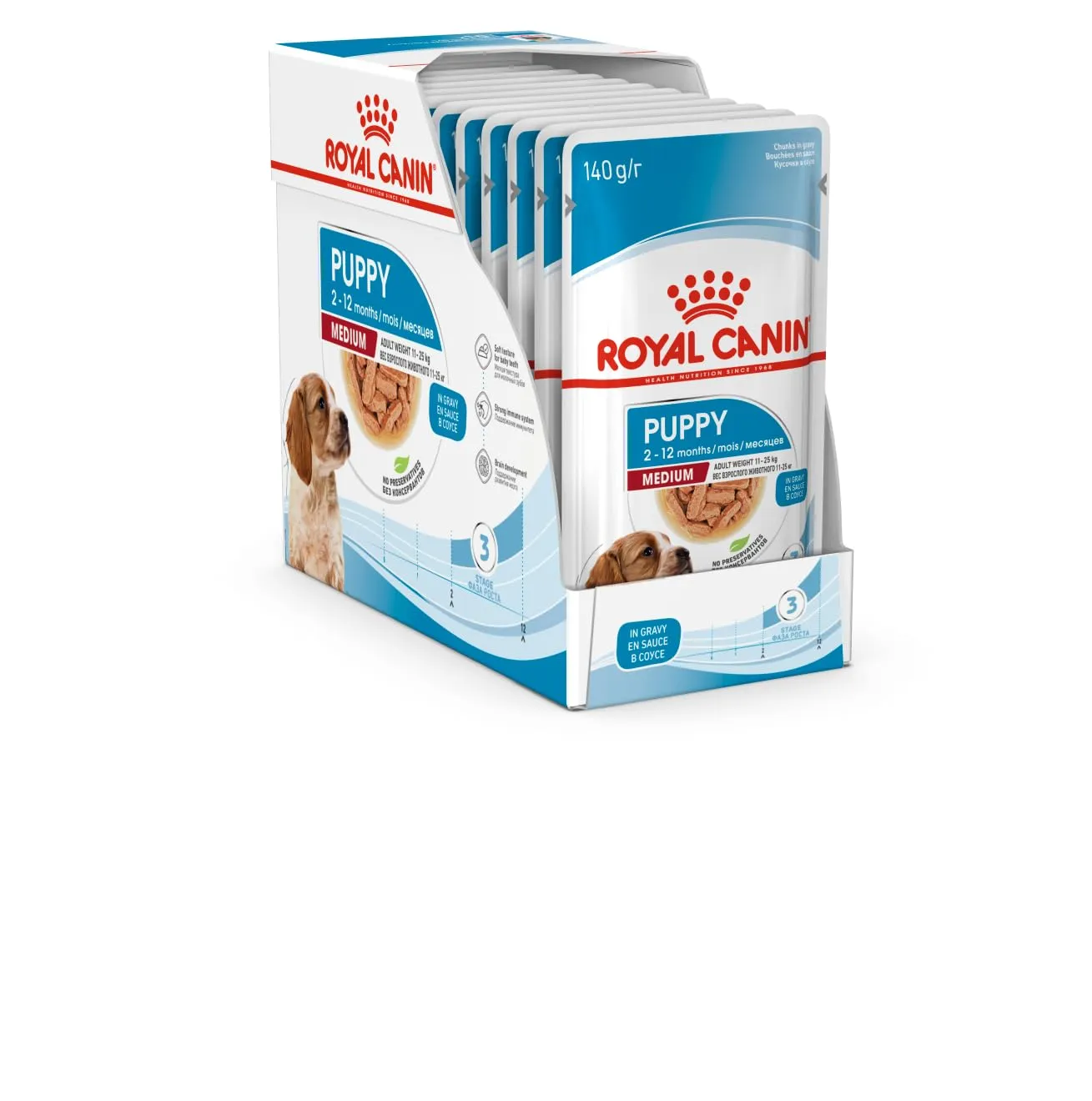 Royal Canin Medium Puppy | 10 x 140 g | Cibo umido per cani di taglia media | Fino a 12 mesi di età | Per il supporto cerebrale | Bocconi in salsa