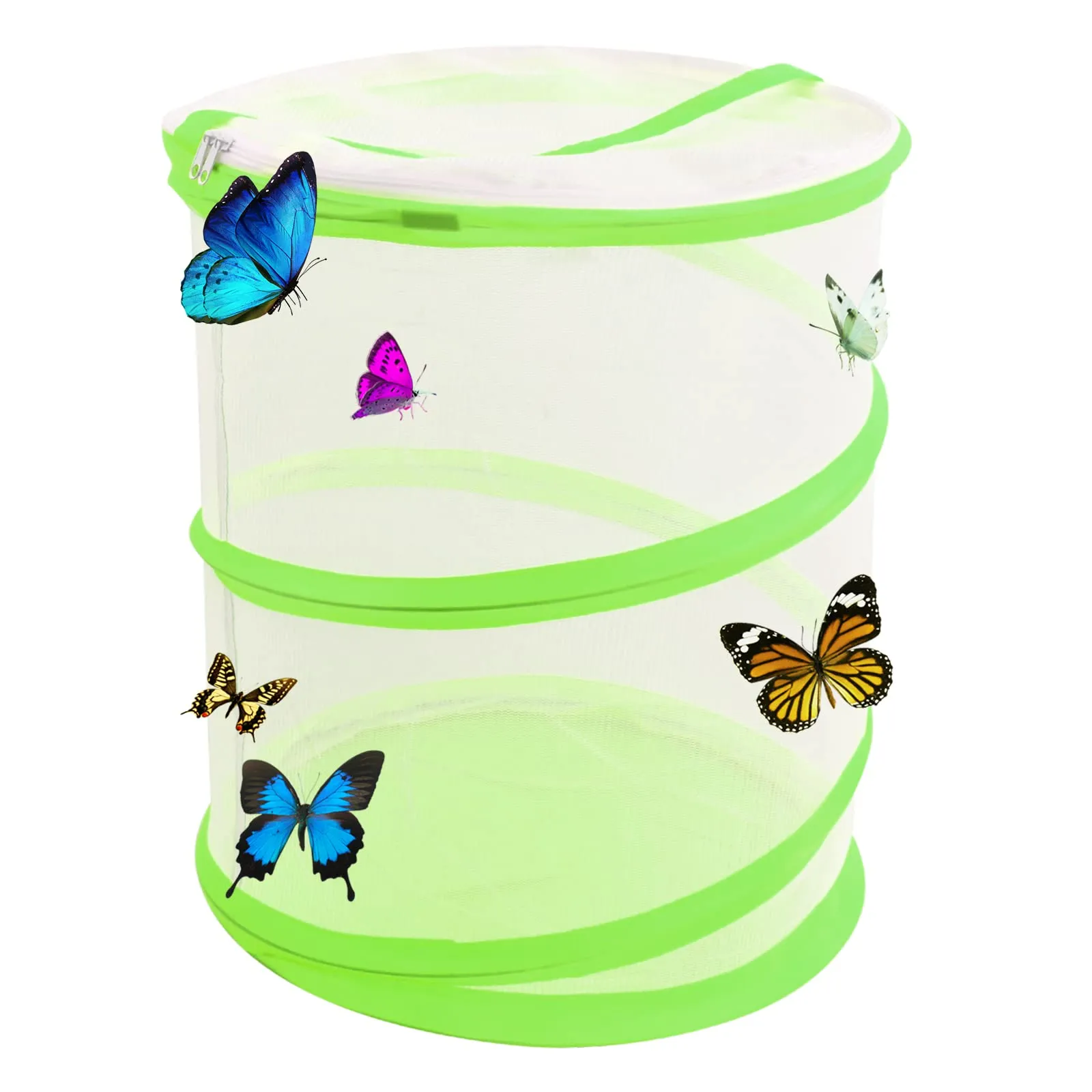 35cm Gabbia per Habitat Farfalla Insetti Casetta per Farfalle di Mesh Terrari per Insetti Pieghevole Gabbia di Farfalle per Habitat Allevamento Piantine Educazione Scientifica Osservazione (Verde)