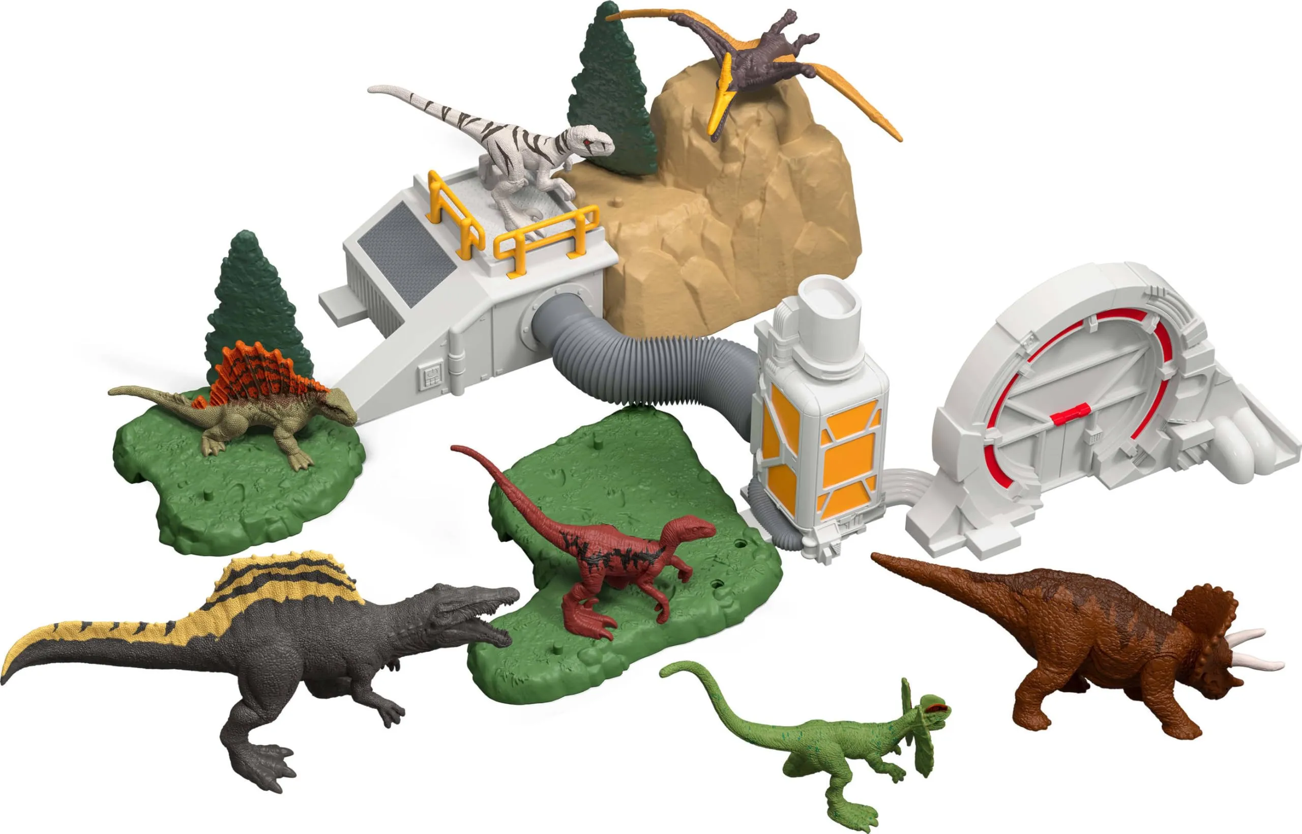 Miniatura 6