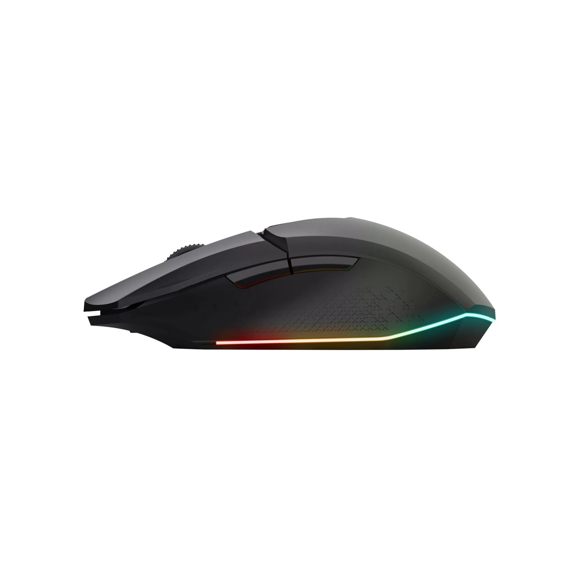 Miniatura 10