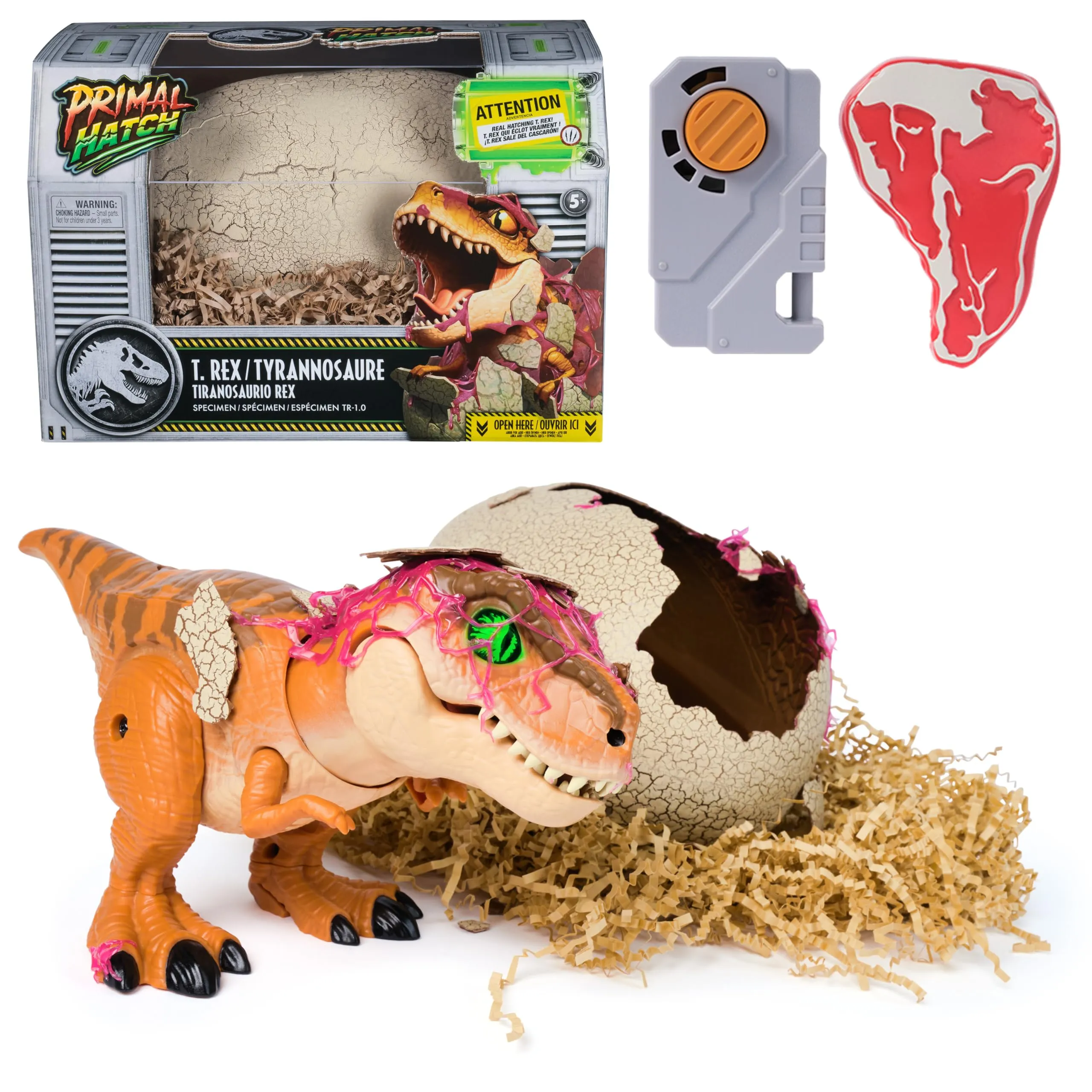 Primal Hatch Jurassic World, Dinosauro Interattivo con Uovo, Fai Schiudere e Addestra il Tuo Cucciolo di Dinosauro con Oltre 100 Suoni e Reazioni, Giocattolo per Bambini e Bambine, 5+ Anni