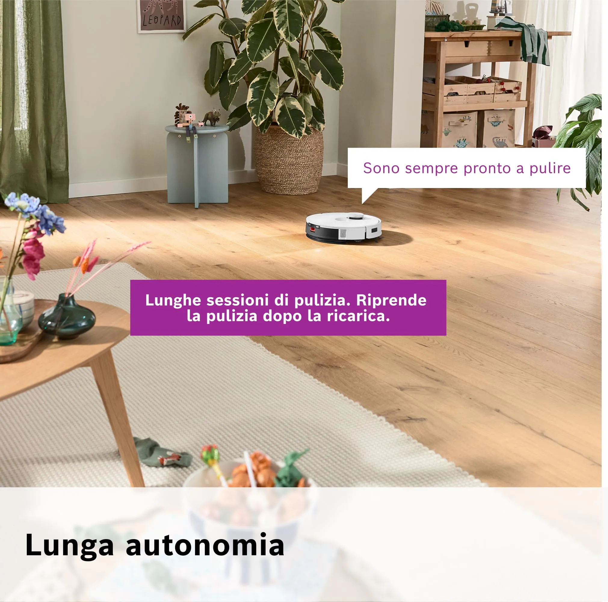 Miniatura 14