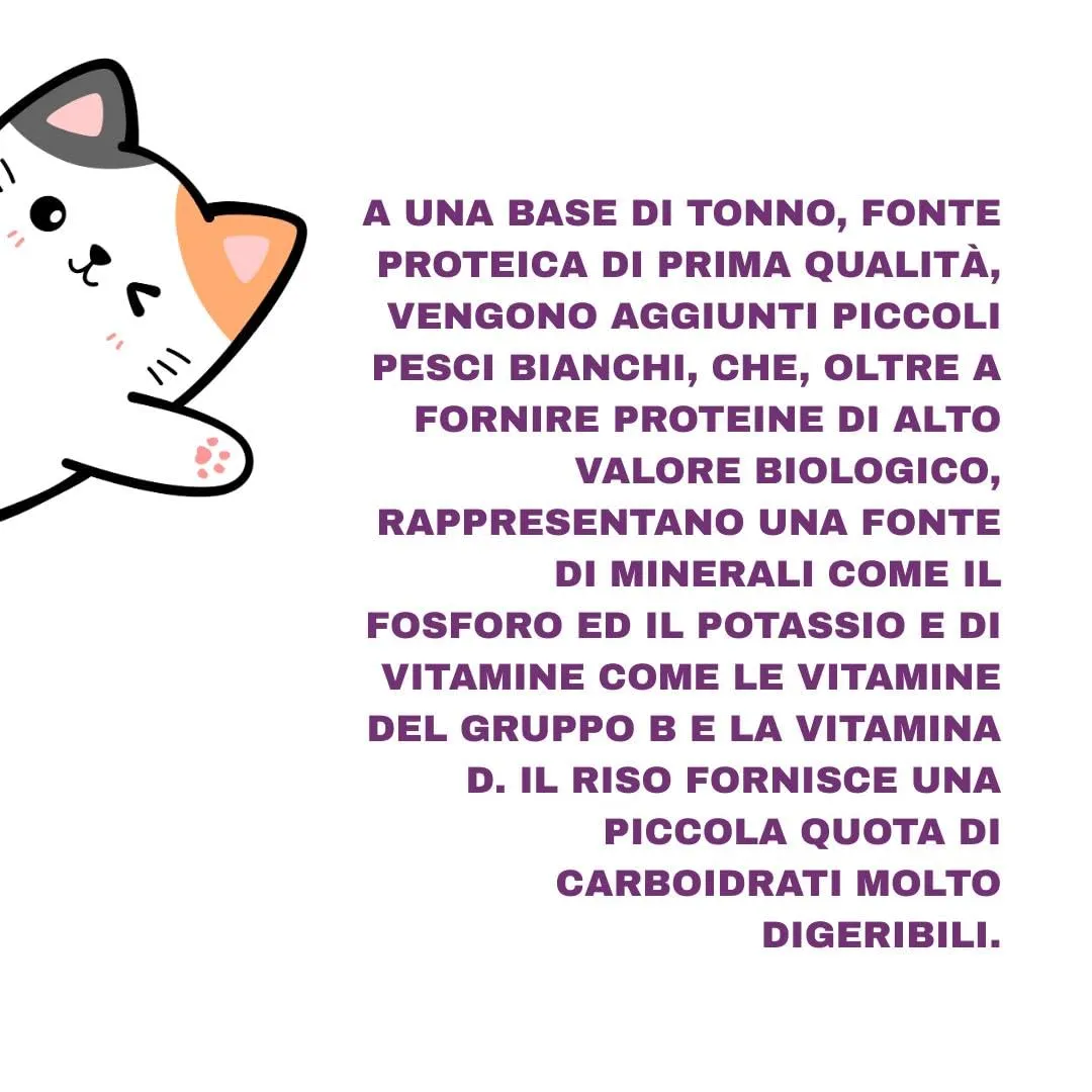Natural Code Umido Gatto Adult gusto TONNO e PICCOLI PESCI BIANCHI, Numero P10, morbidi SFILACCETTI in acqua di cottura per gatti adulti di tutte le taglie, altamente digeribile | 12 bustine da 70 gr