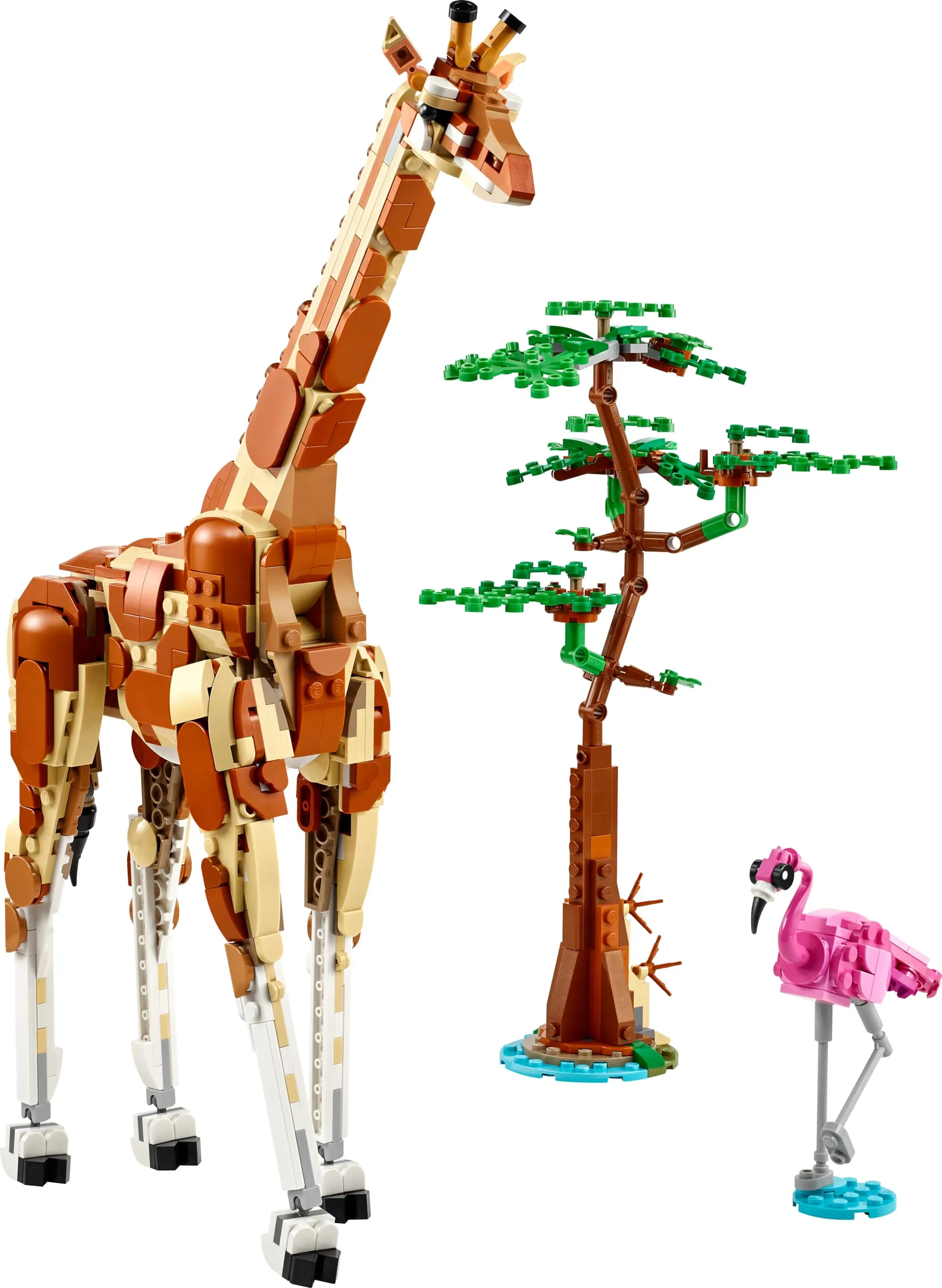 Miniatura 10