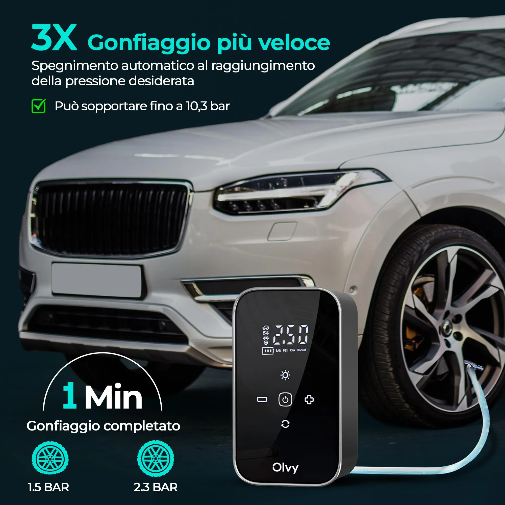 Miniatura 9