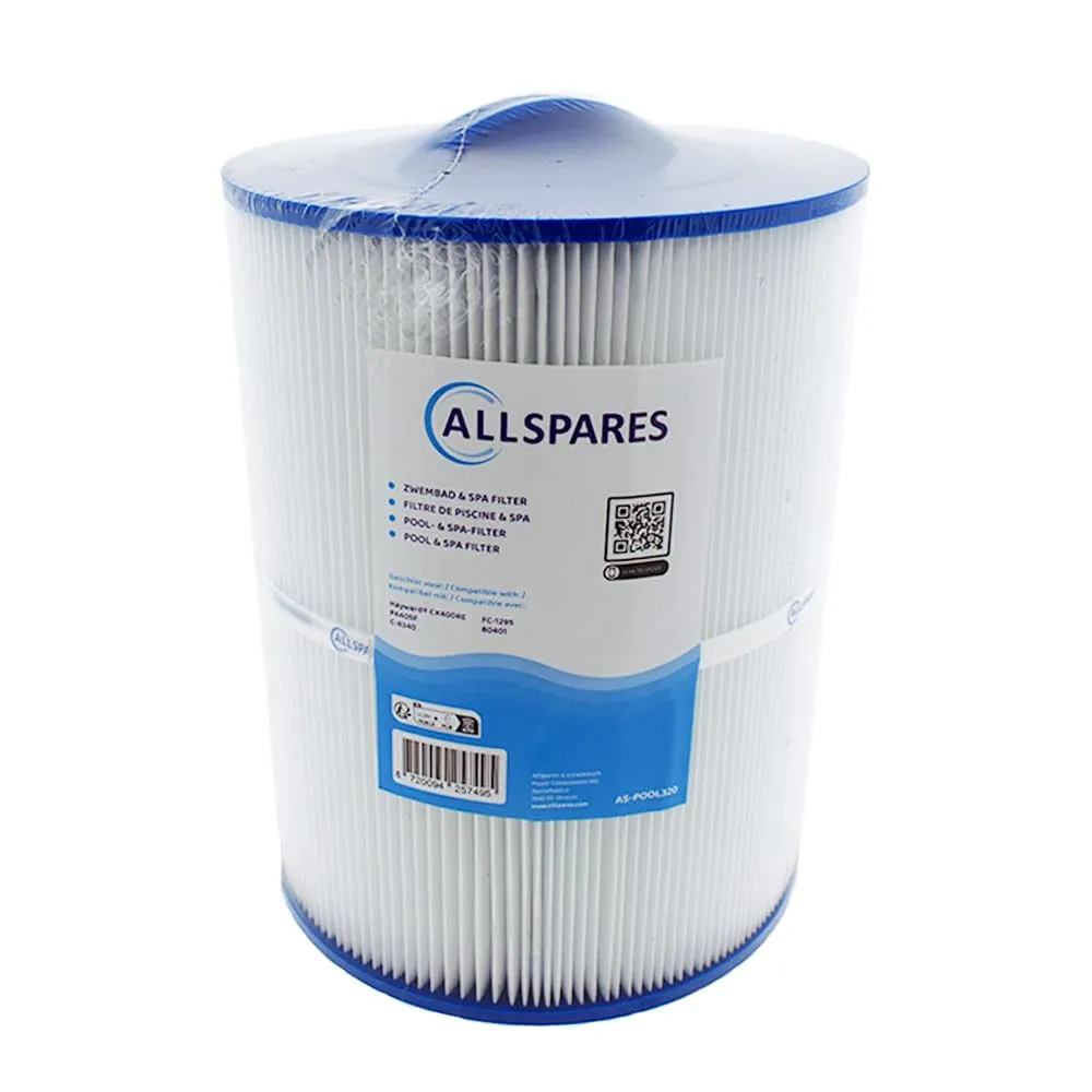 AllSpares Filtro dell'acqua per cartuccia filtrante Whirlpool/Pool adatto per Hayward CX400RE / PA40SF / C-8340 / FC-1295 (diametro 216 x 273 mm)