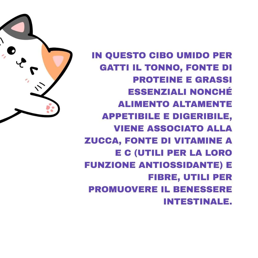Natural Code Umido Gatto Adult gusto TONNO e ZUCCA, Numero P14, morbidi SFILACCETTI in acqua di cottura per gatti adulti di tutte le taglie, altamente digeribile | 12 bustine da 70 gr