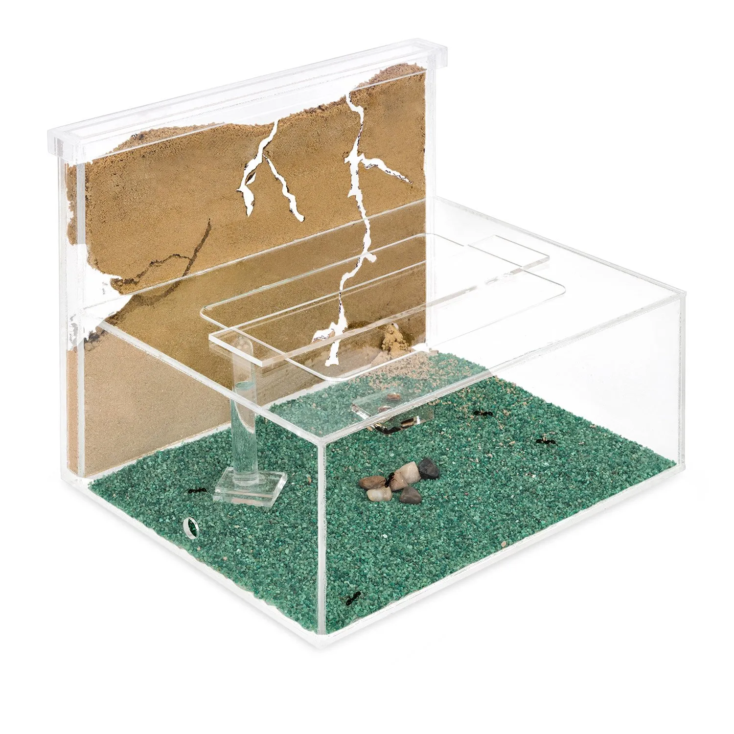 Miniatura 2