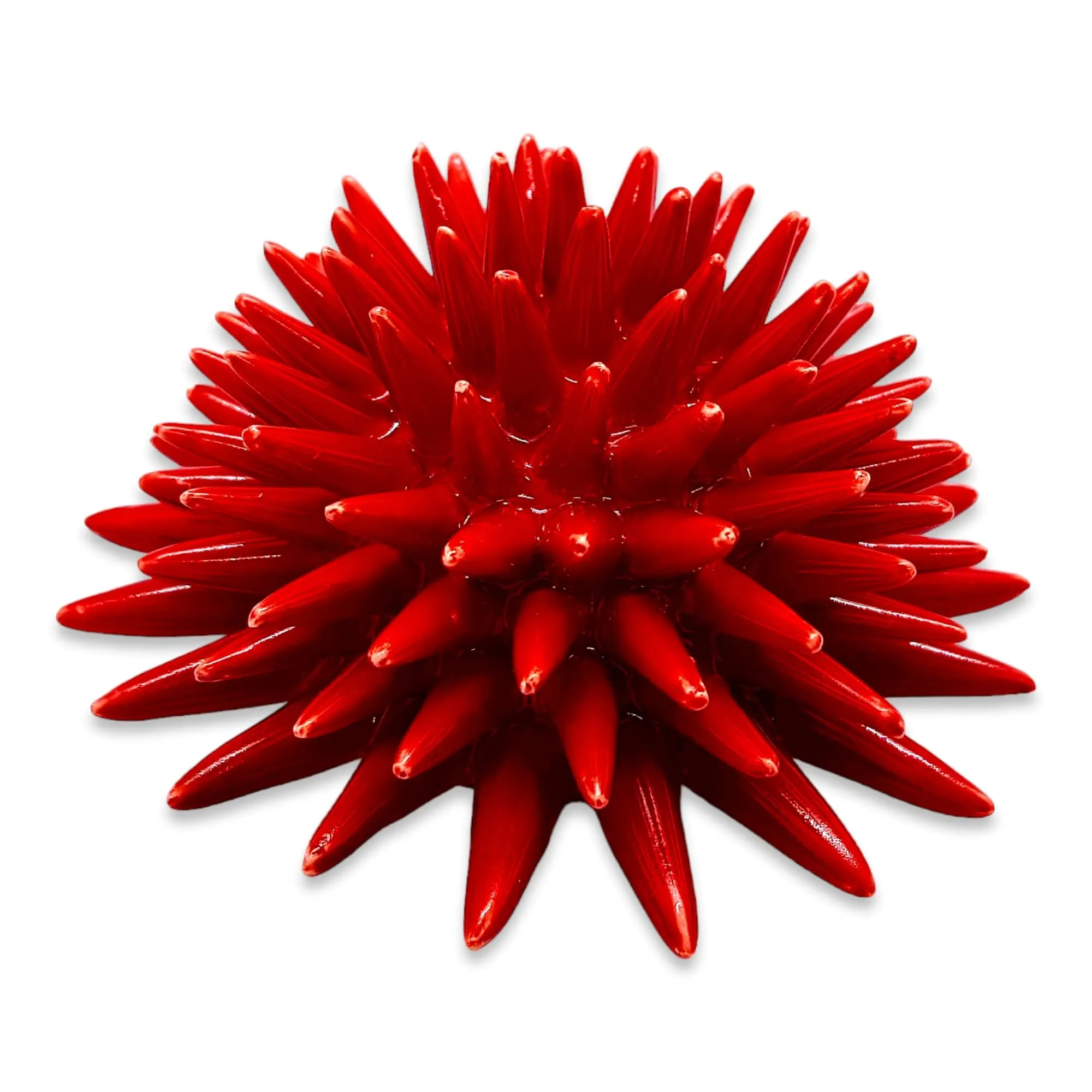Riccio Ceramica Handmade Le Ceramiche del Castello (12.50 X 8 CM, ROSSO)