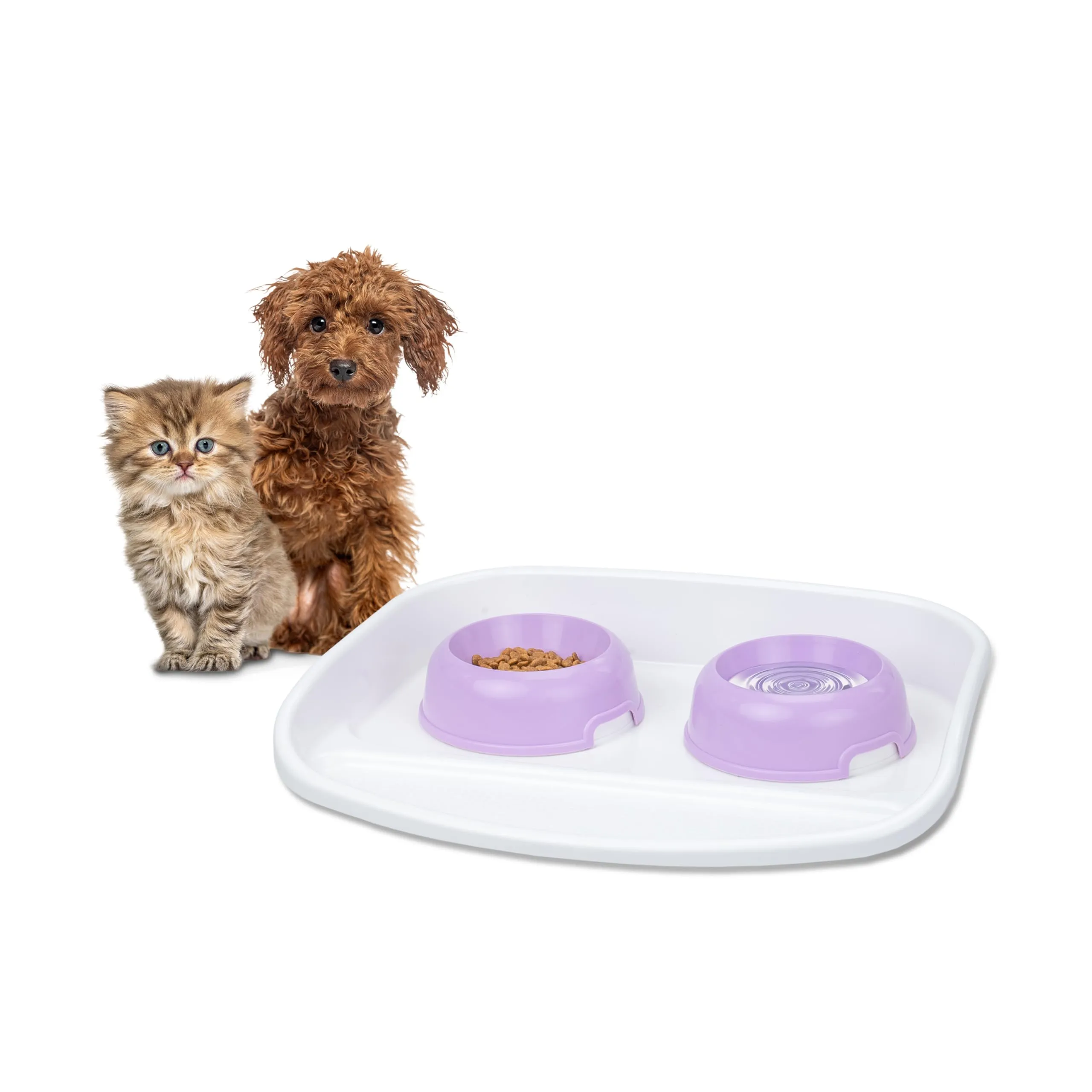 Ferplast Vassoio con ciotole per cani e gatti LINDO Doppia mangiatoia per animali, Base in plastica resistente, Piedini antiscivolo, Due ciotole incluse capacità 0,6 L, 44,5 x 34 x h 7 cm Rosso