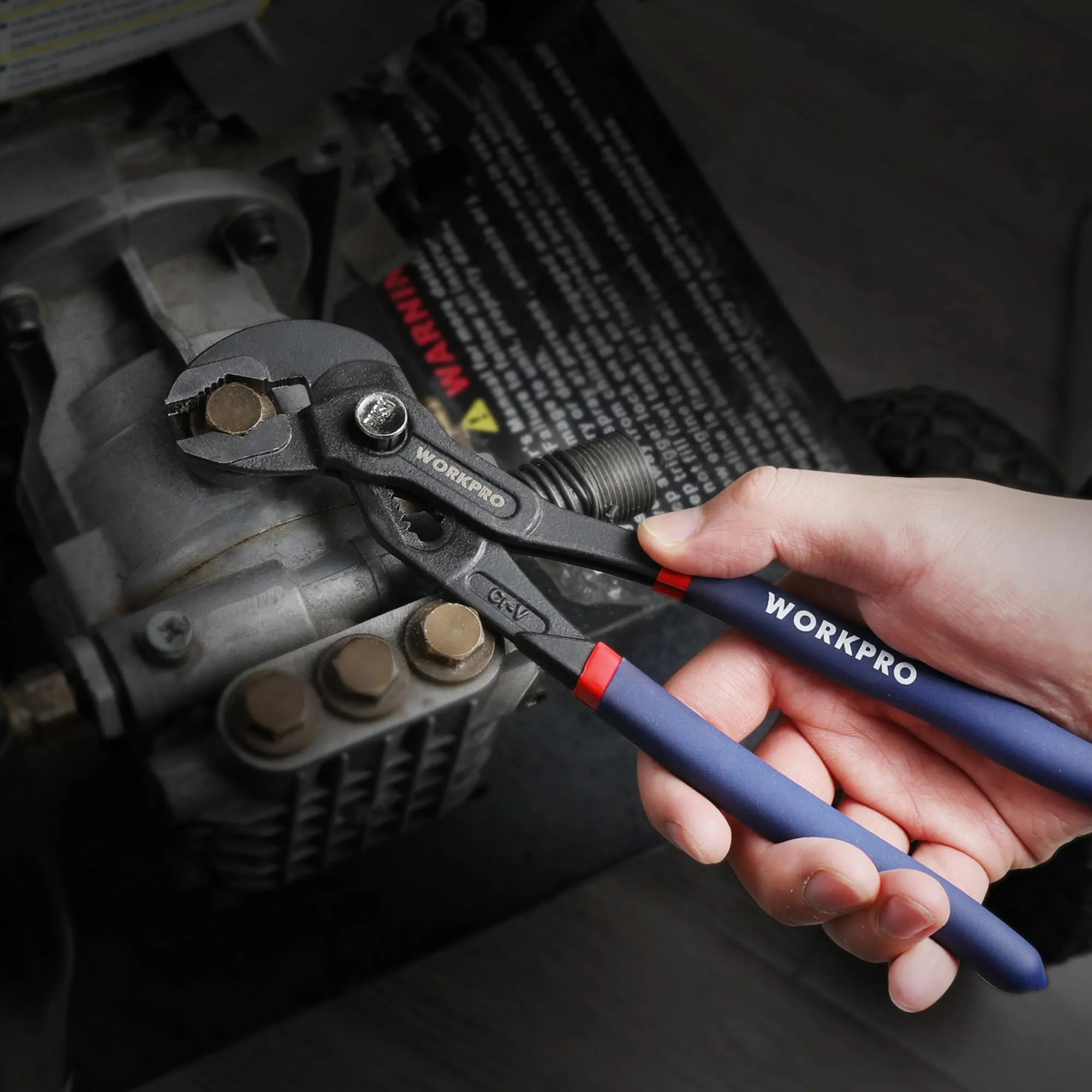 Miniatura 8