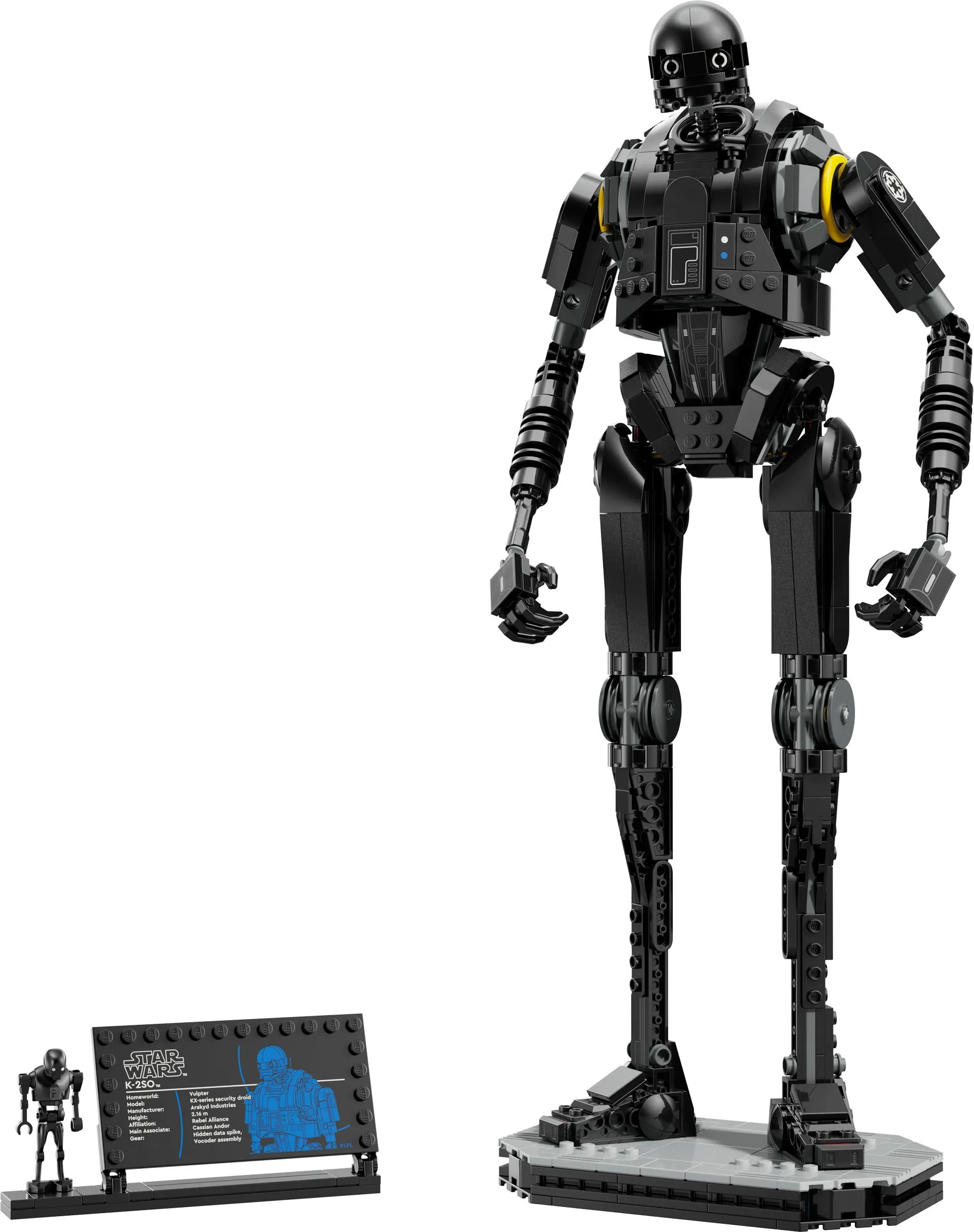 Miniatura 8
