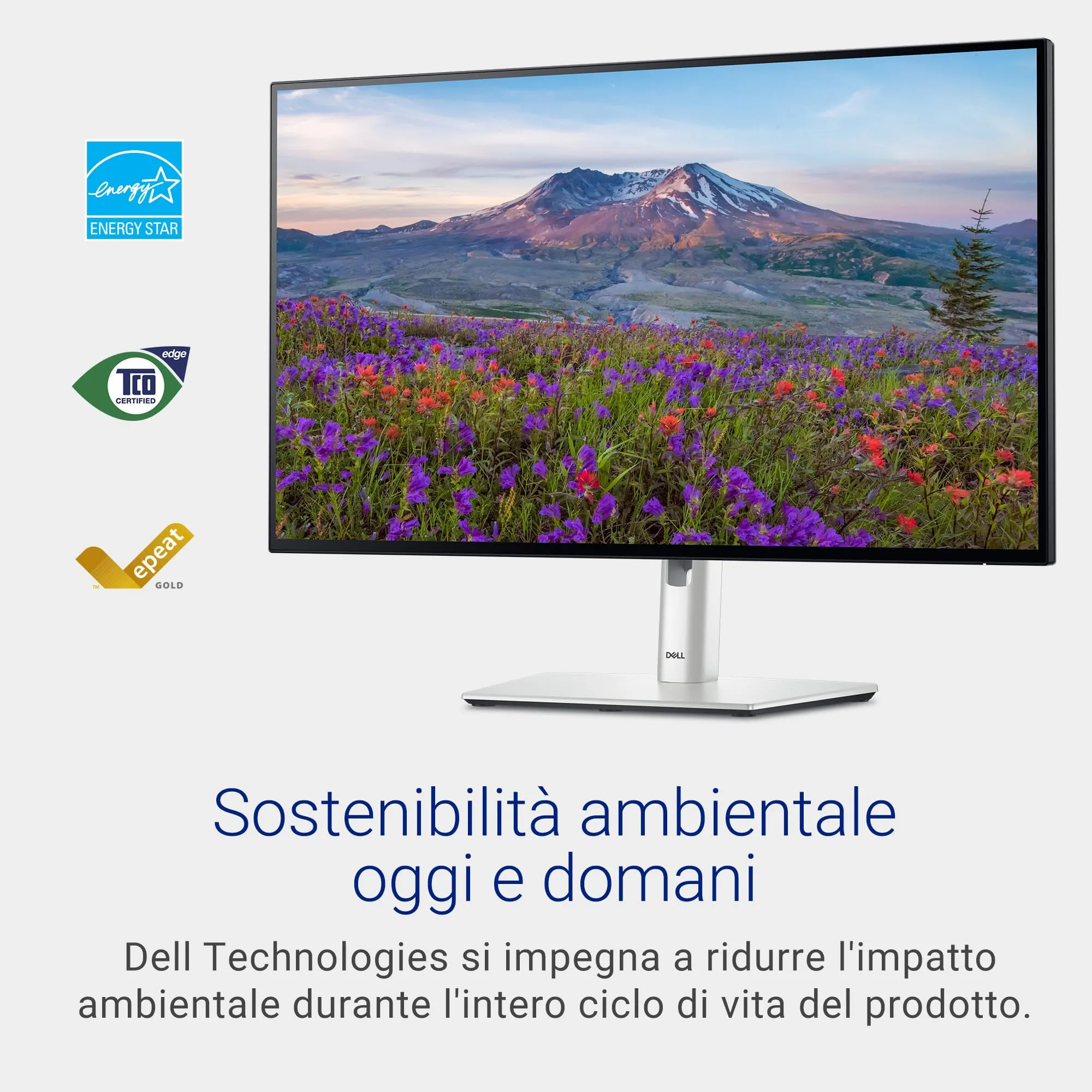 Miniatura 10