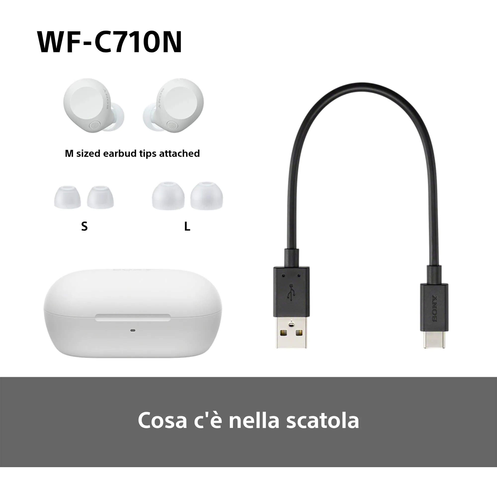 Miniatura 11