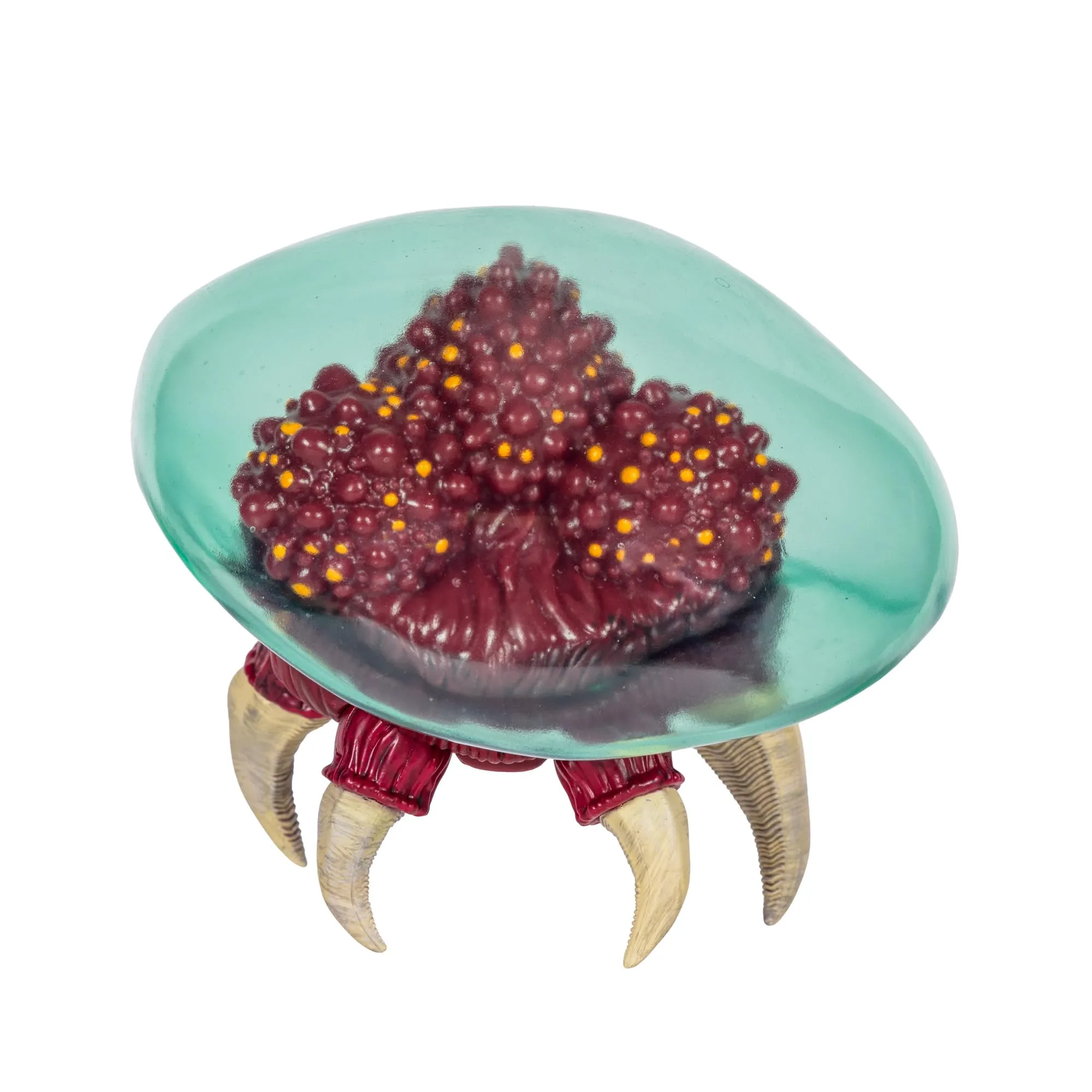 Miniatura 9