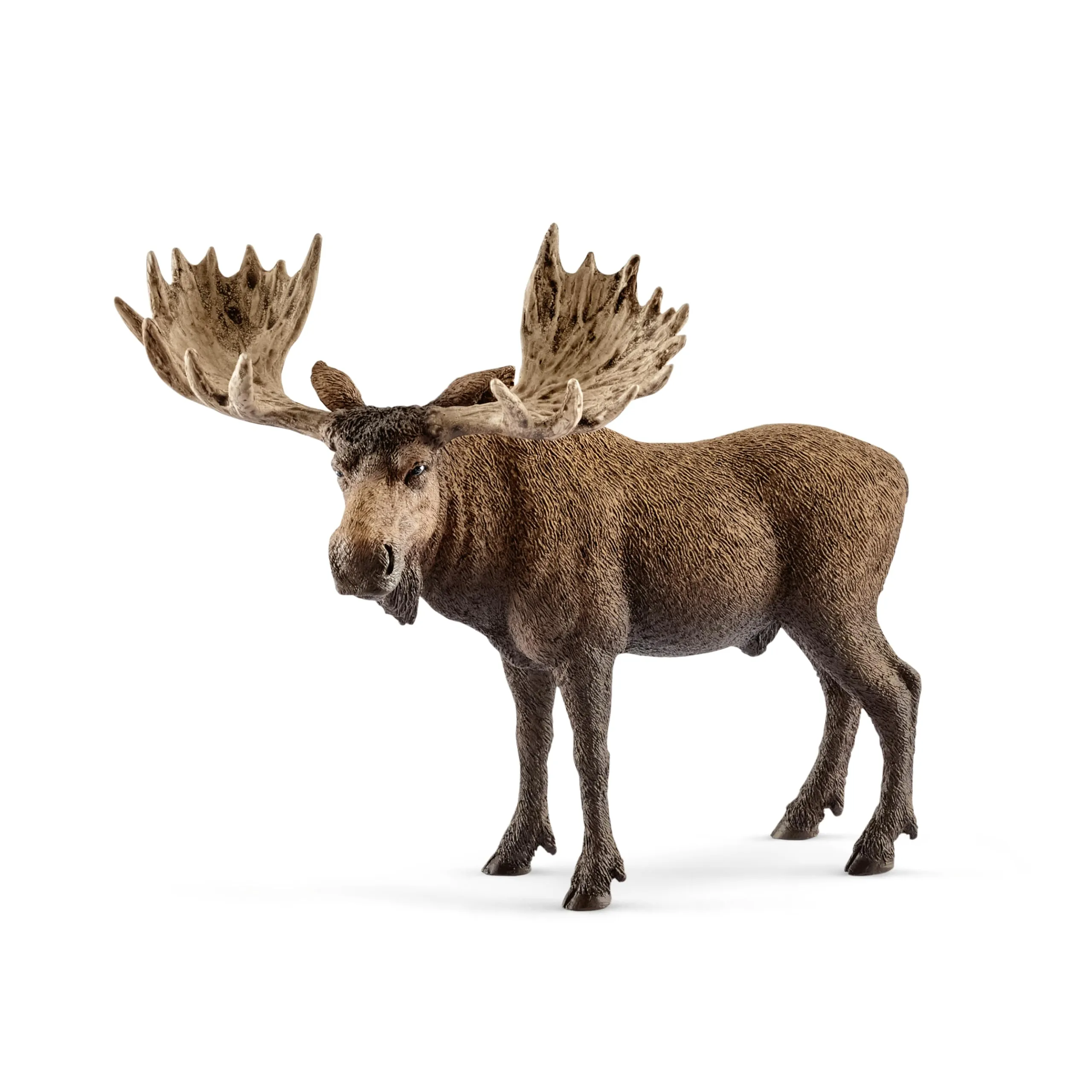 schleich 14781 ALCE , da 3 anni, WILD LIFE - Figura, 13 x 7 x 11 cm
