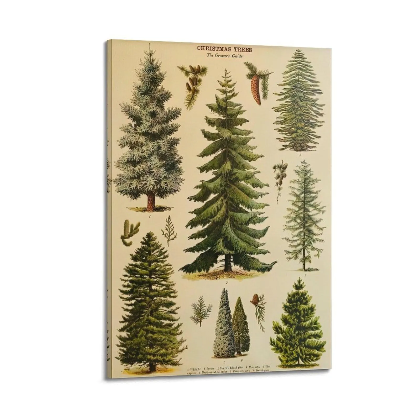HNPBB Poster vintage con albero di Natale, guida su tela, poster decorativo da parete e stampa artistica moderna per camera da letto, poster decorativo per camera da letto (50 x 75 cm)