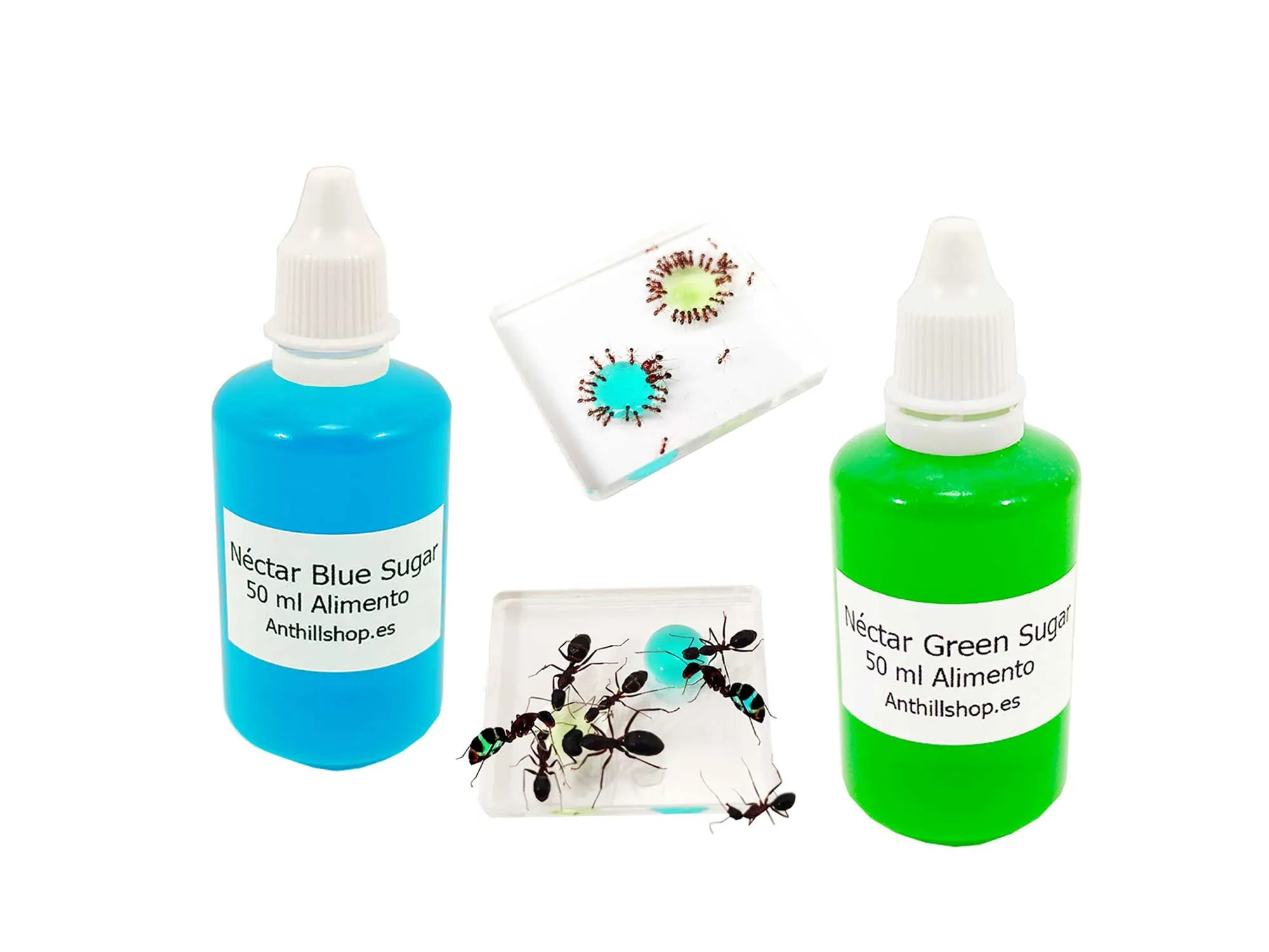 Mangime per formiche. Ottimo e irresistibile. Mangime per formiche e formiche. Nuovo nettare di zucchero blu più nettare di zucchero verde, confezione risparmio con 2 bottiglie da 50 ml
