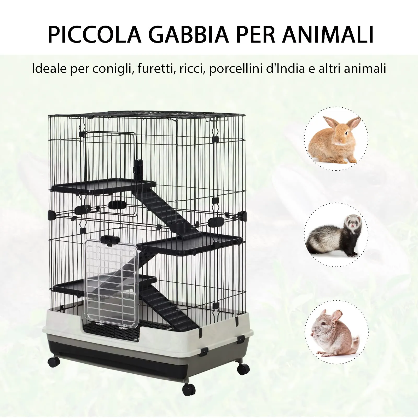 Miniatura 5