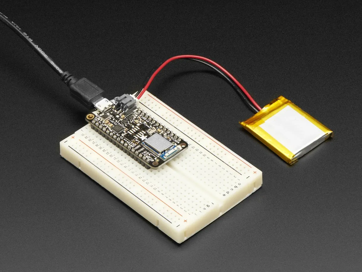 Miniatura 2
