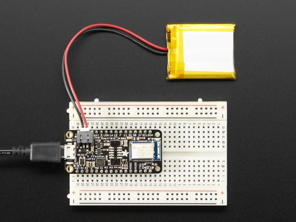 Miniatura 6