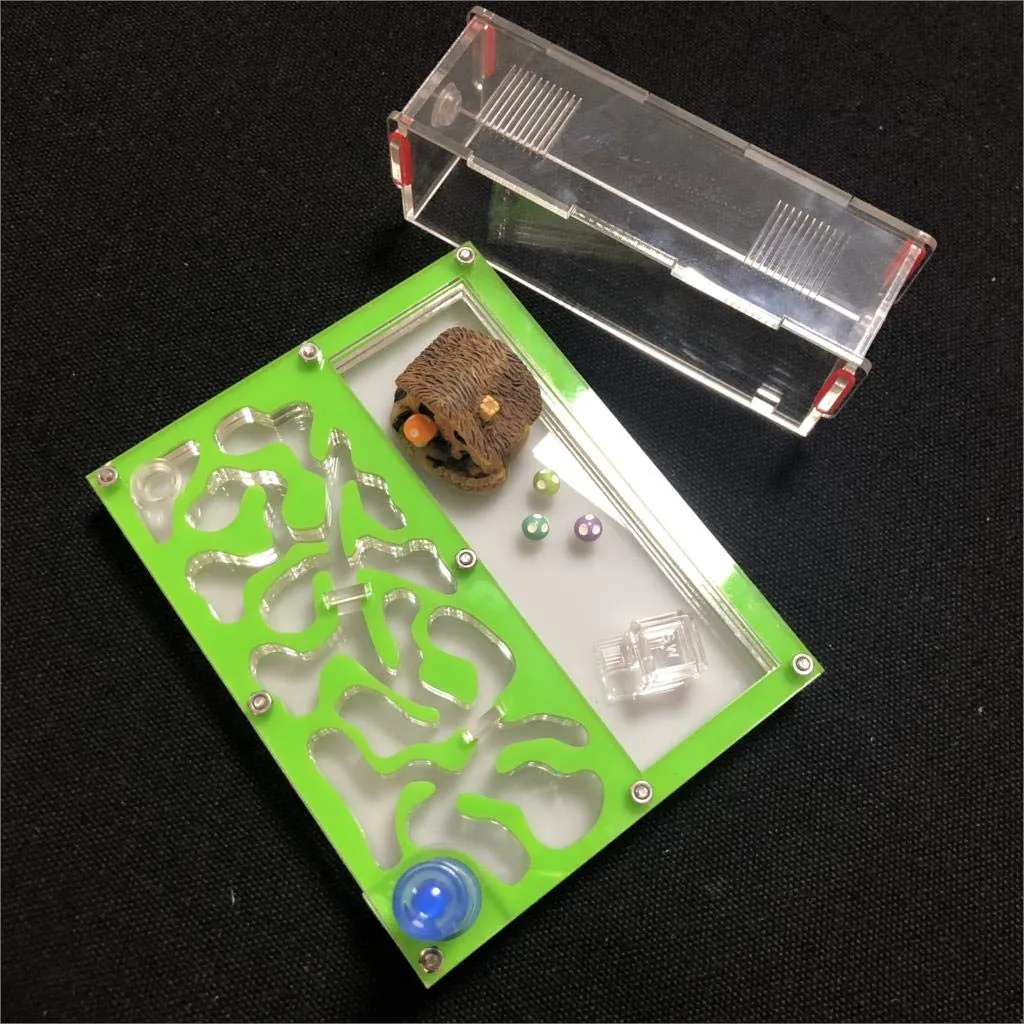Miniatura 2