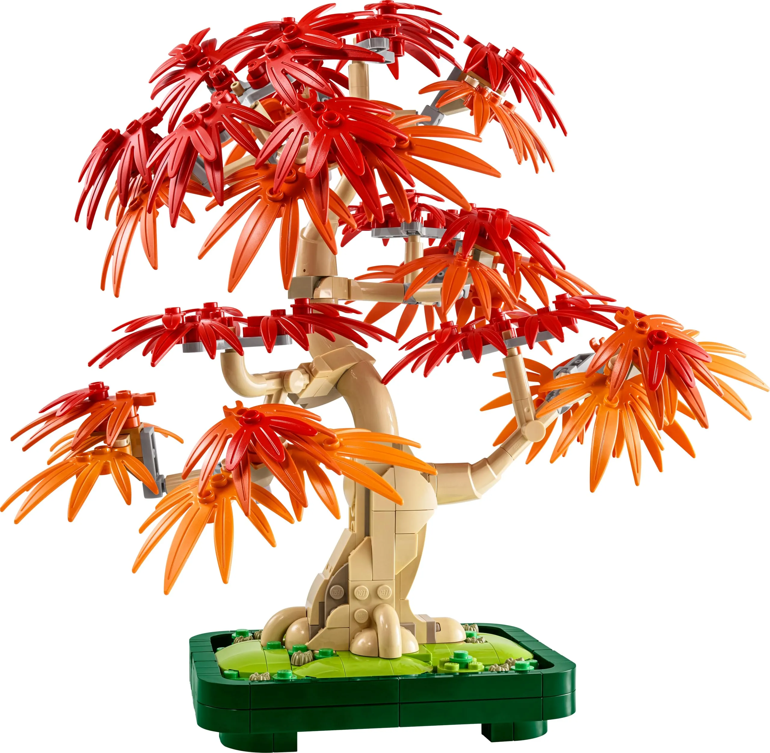 Miniatura 10