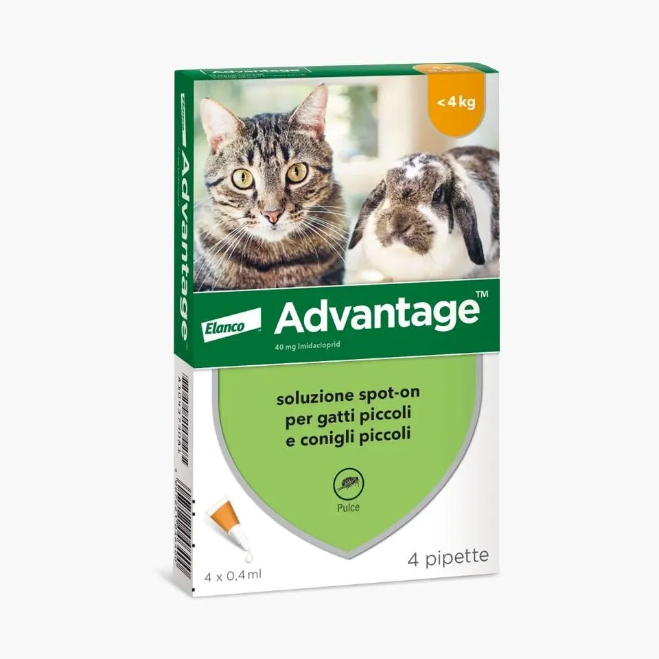 Bayer Advantage ANTIPULCI per Gatti sotto I 4 kg ANTIPARASSITARIO FIALETTE