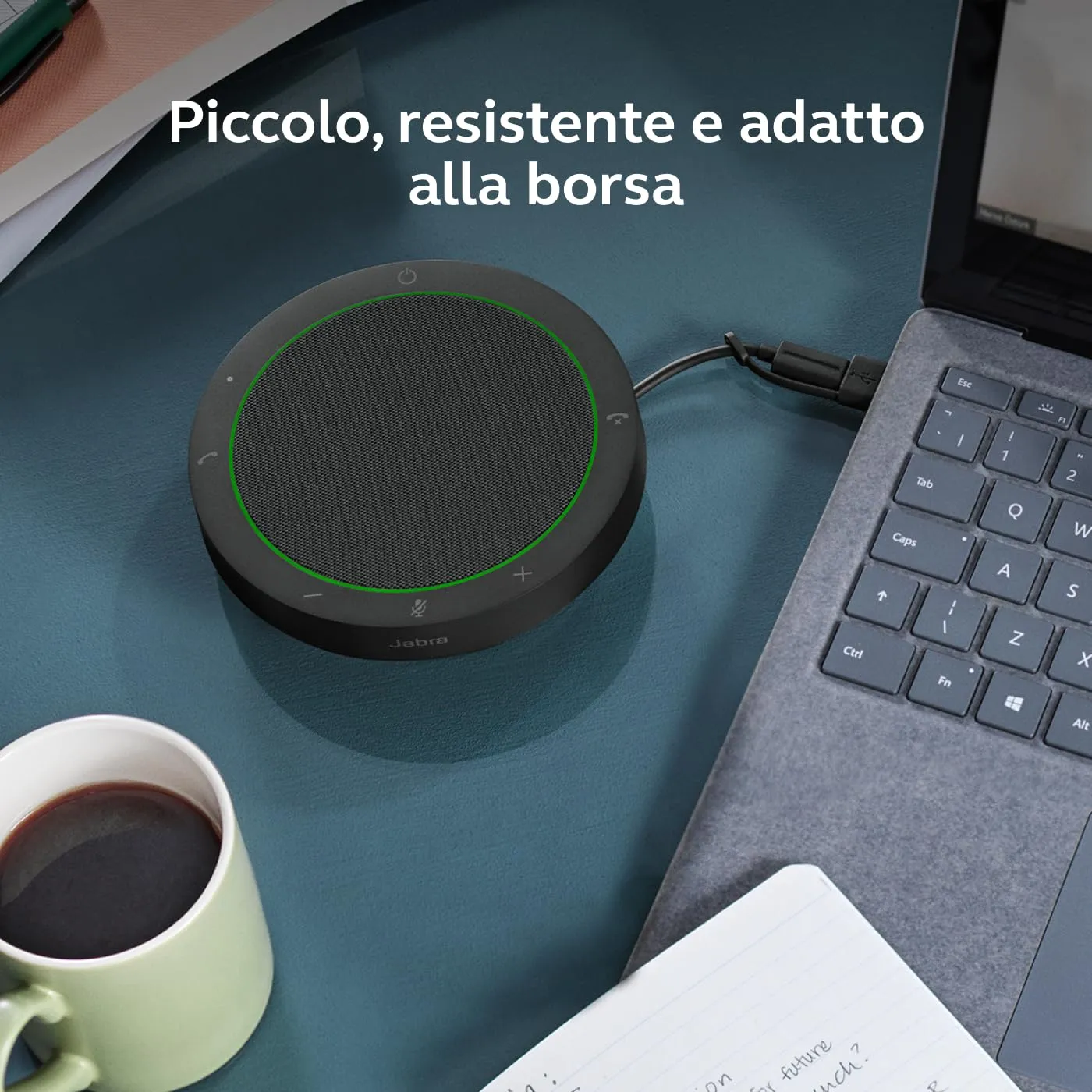 Miniatura 7