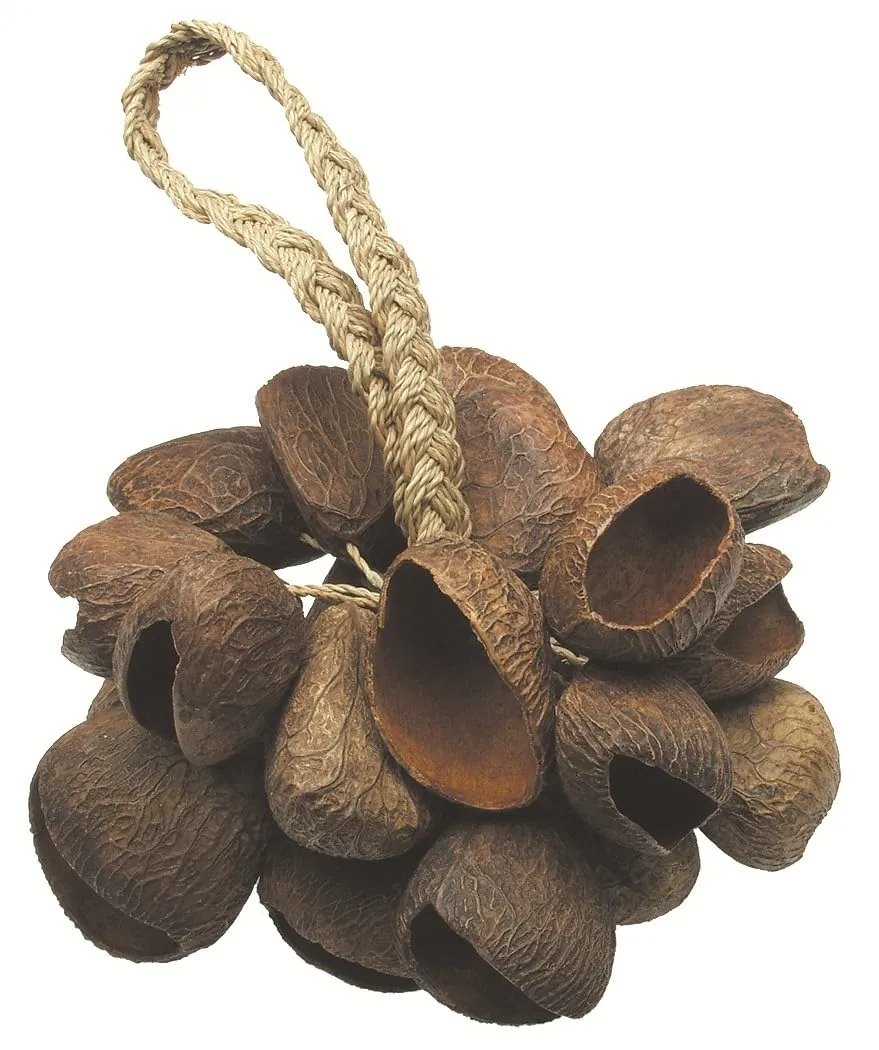 Toca To804444 T-Ss Seed Shell Shaker con Manico