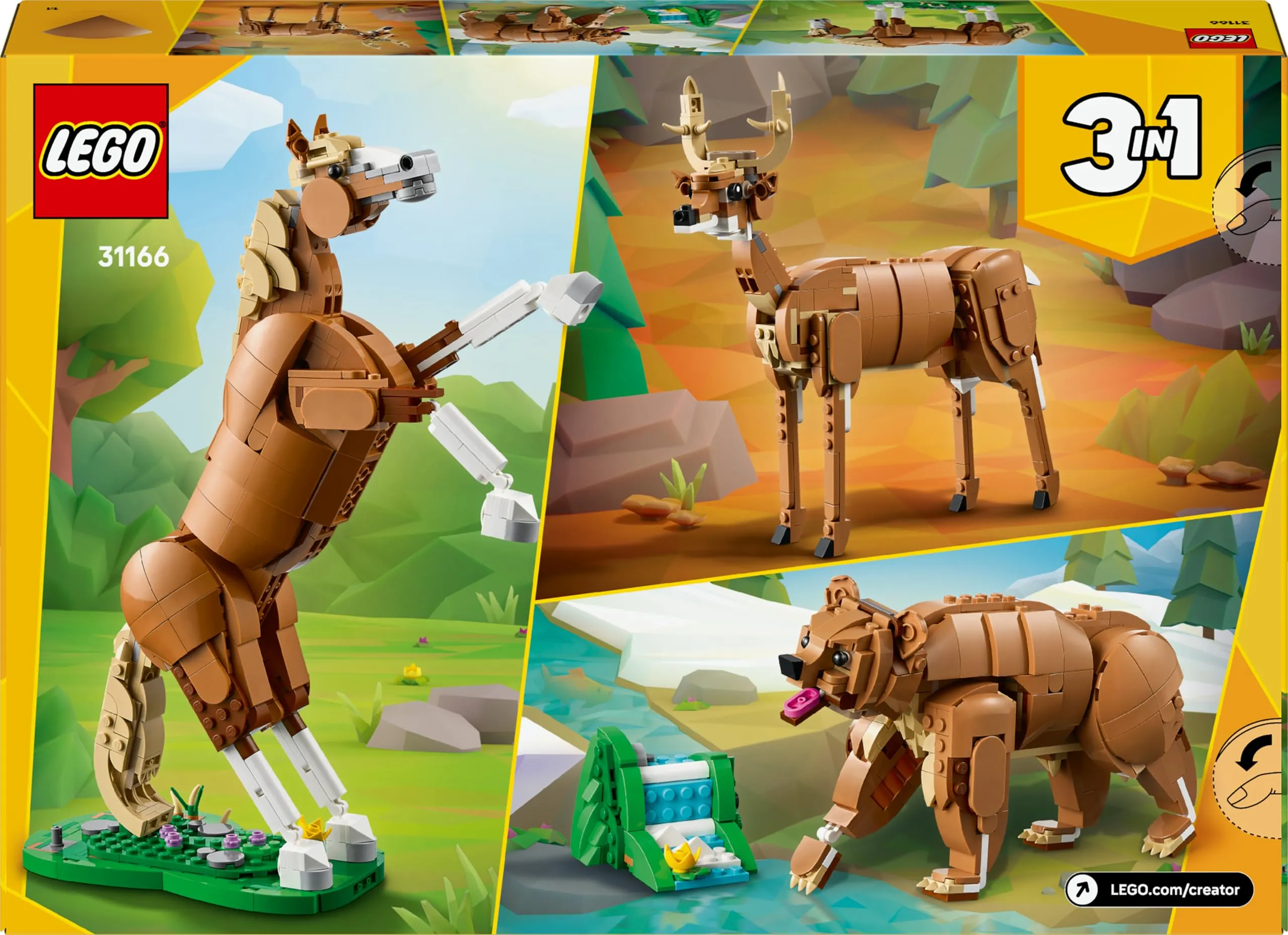 Miniatura 12