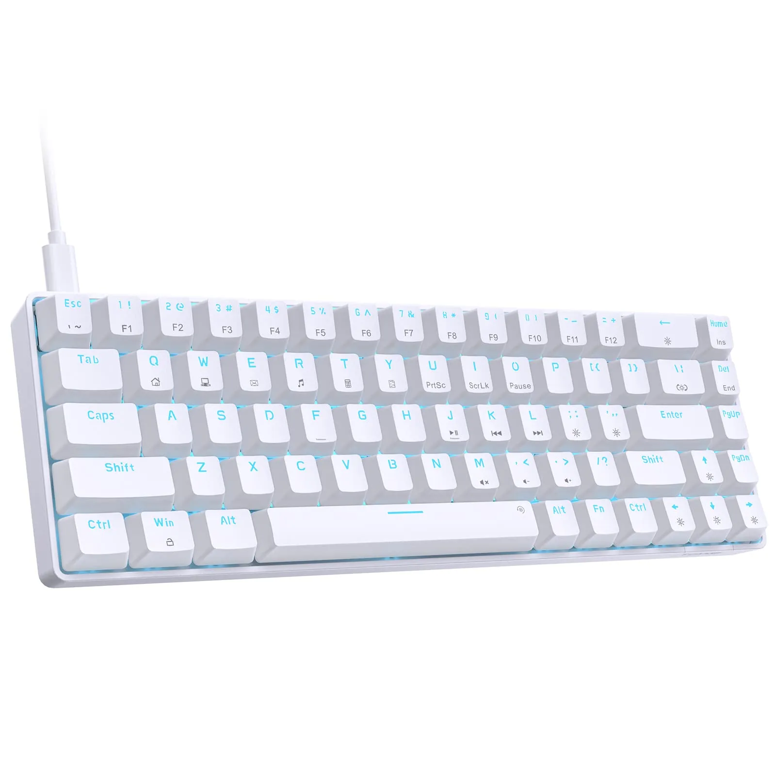 Miniatura 8