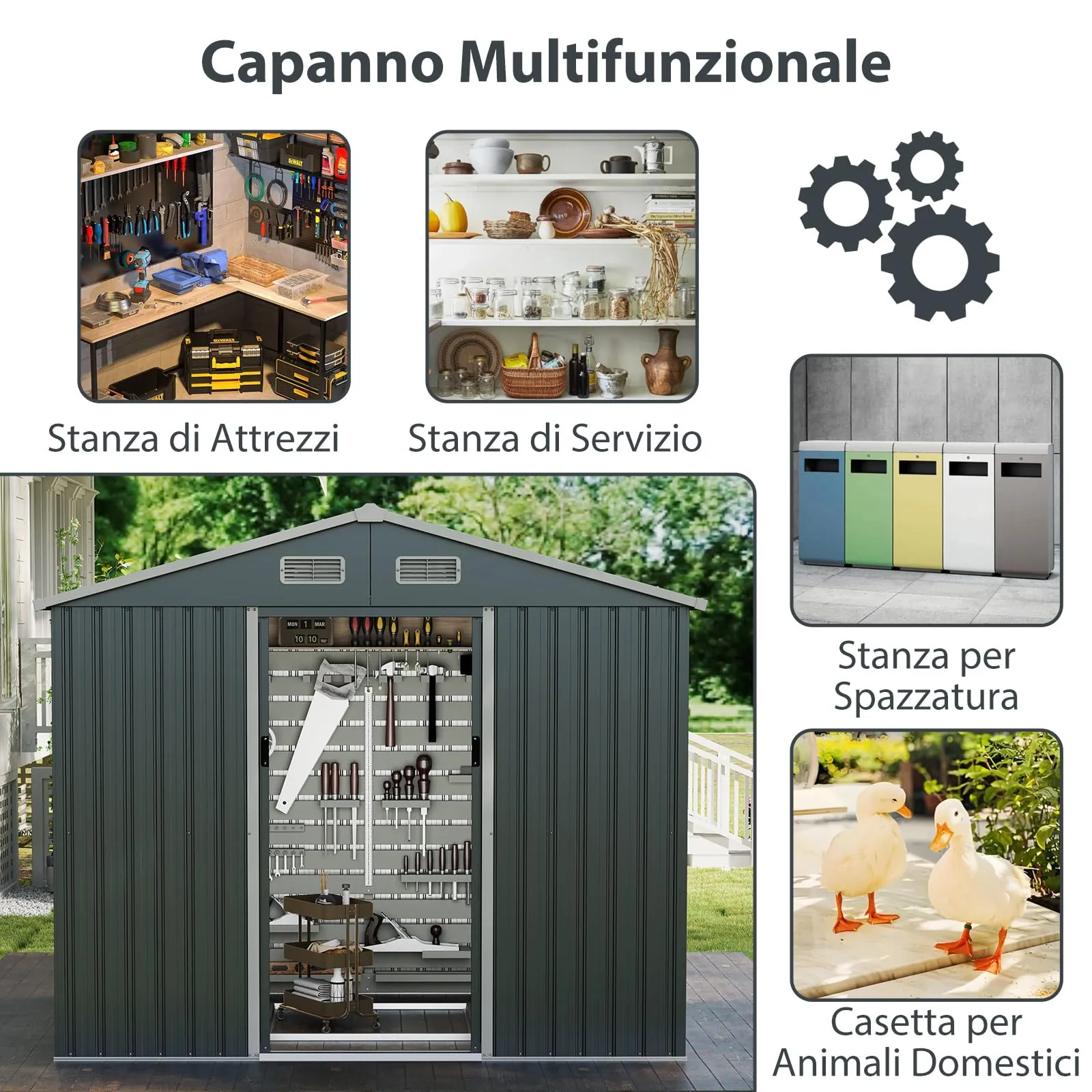 Miniatura 7