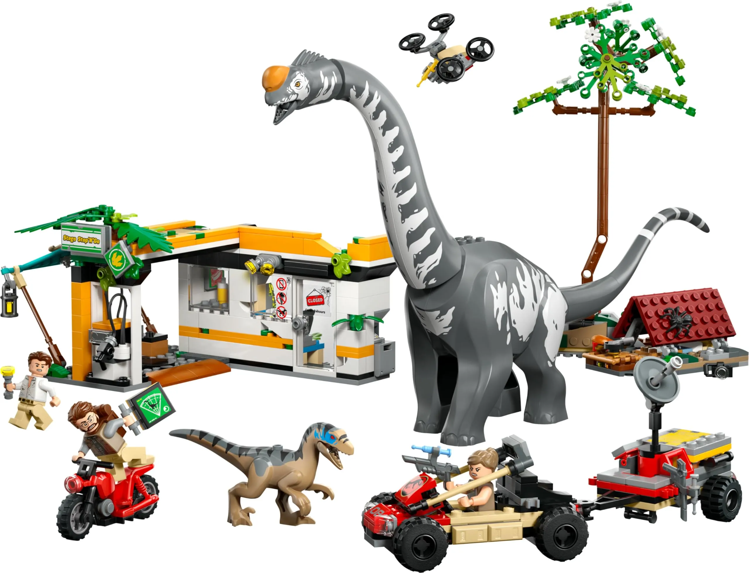 Miniatura 10