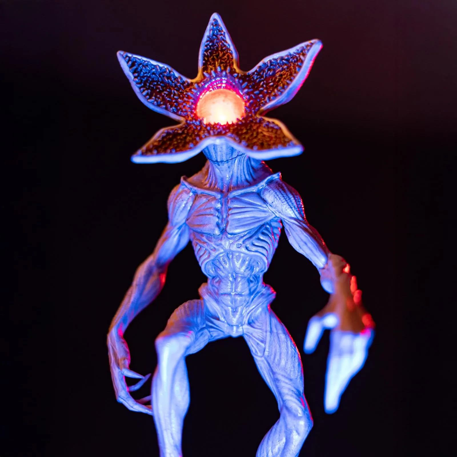 Miniatura 8