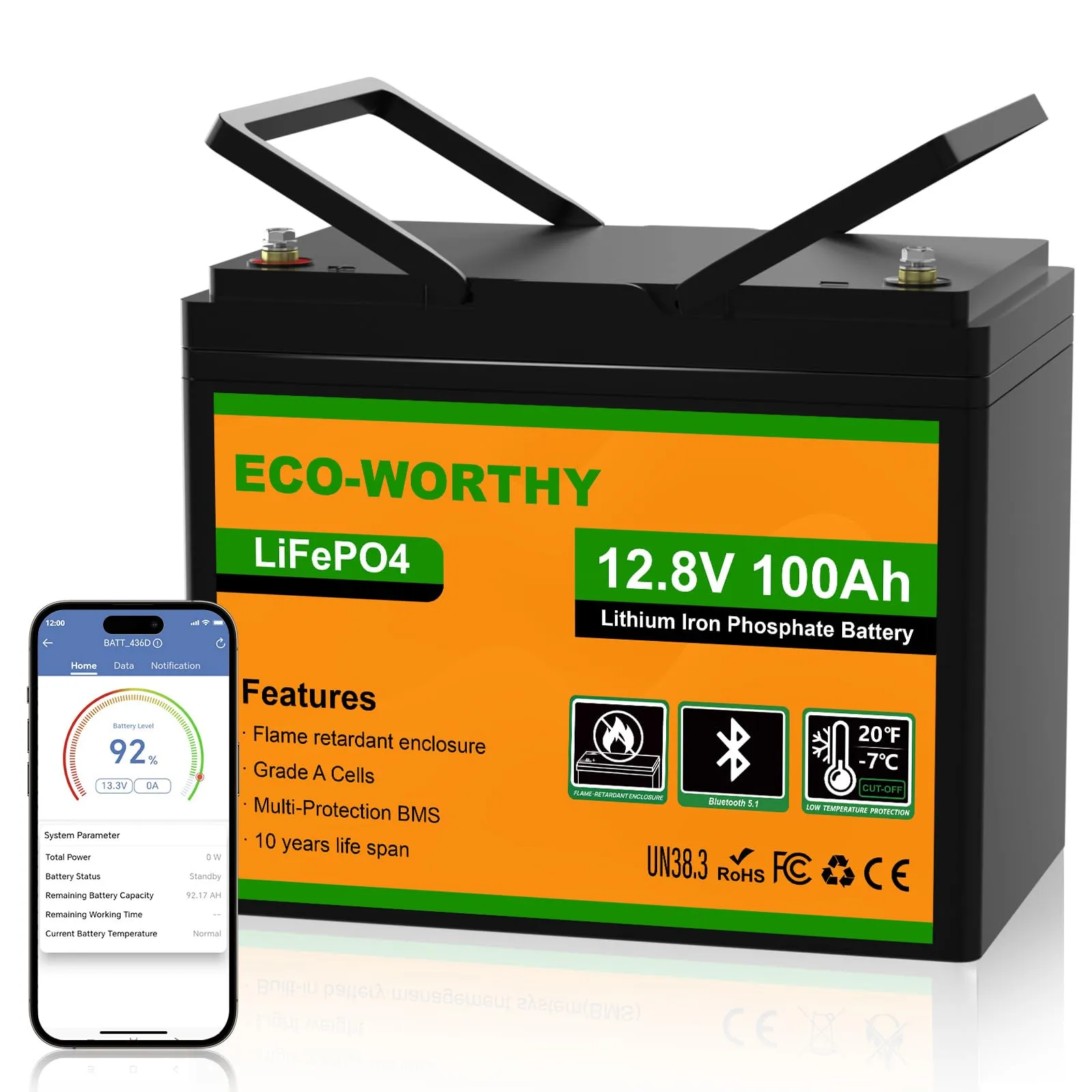 ECO-WORTHY Lifepo4 Batteria al litio Bluetooth 12 V 100 AH, Batteria LiFePO4 con Protezione a Bassa Temperatura, BMS Intelligente, 1280 Wh Energia, per Caravan, Campeggio, Sistemi solare, Pesca alla