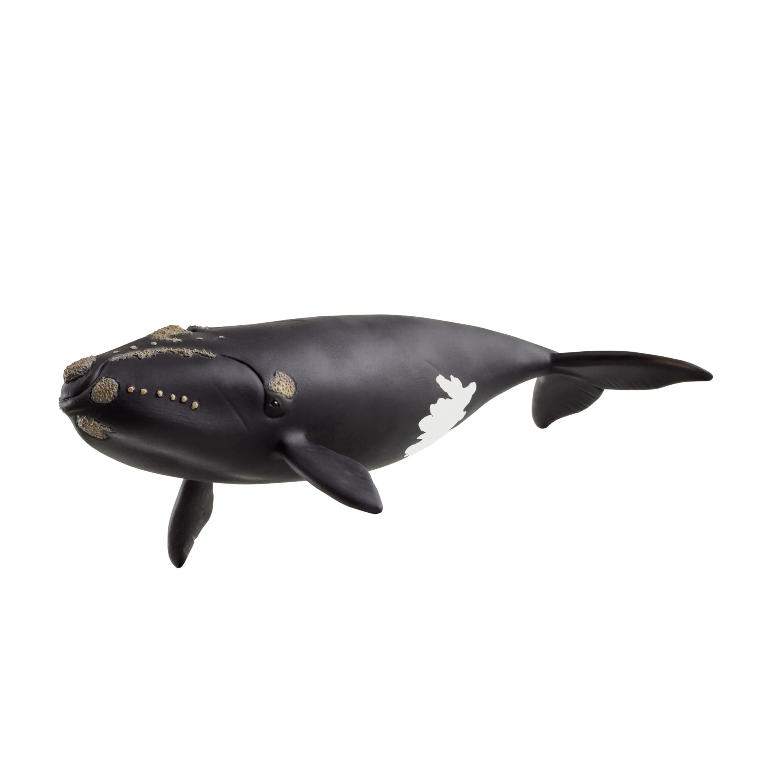 schleich 14878 Ballena franca glacial, da 3 anni, WILD LIFE - figura, 10 x 19 x 5 cm