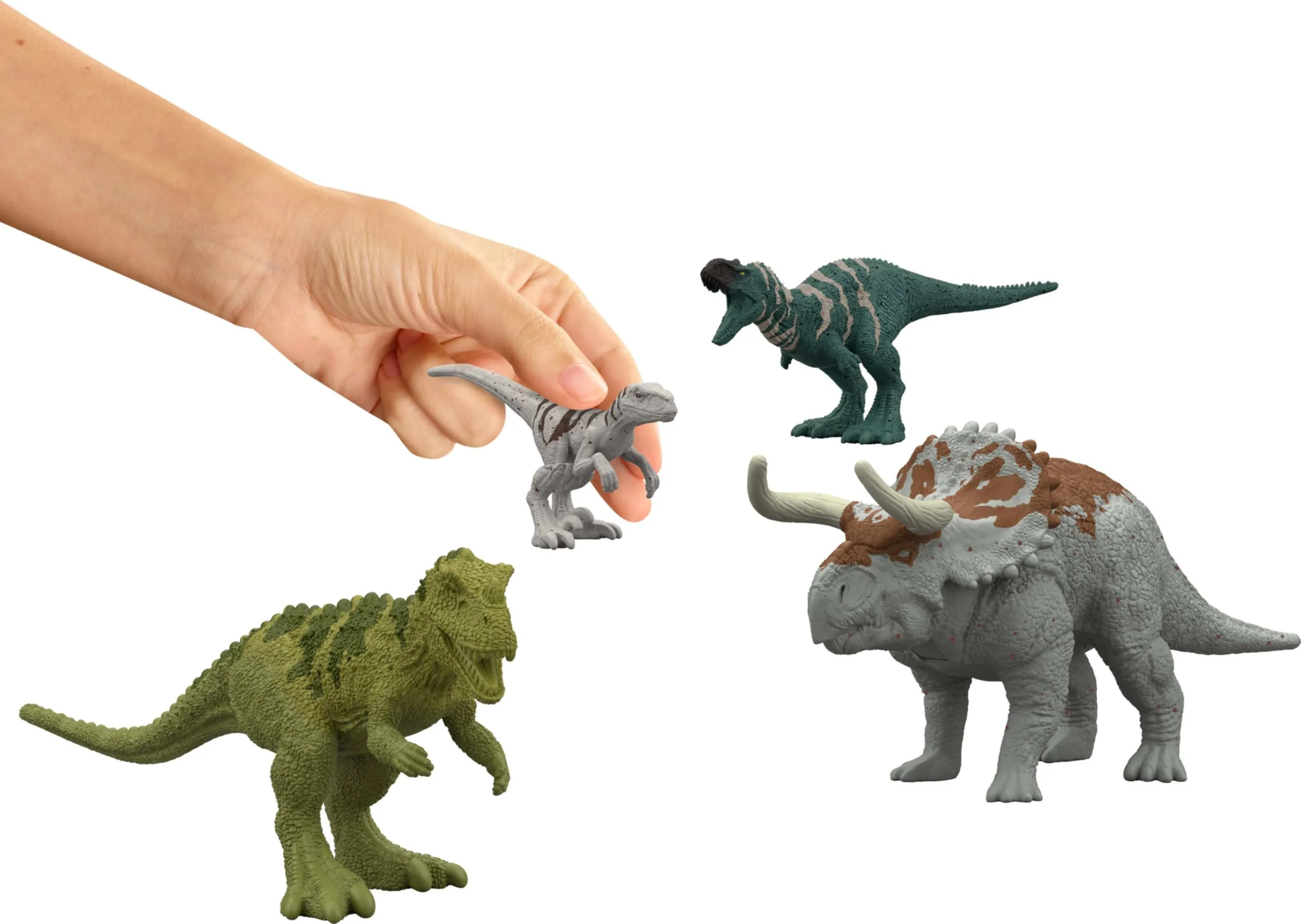 Miniatura 4