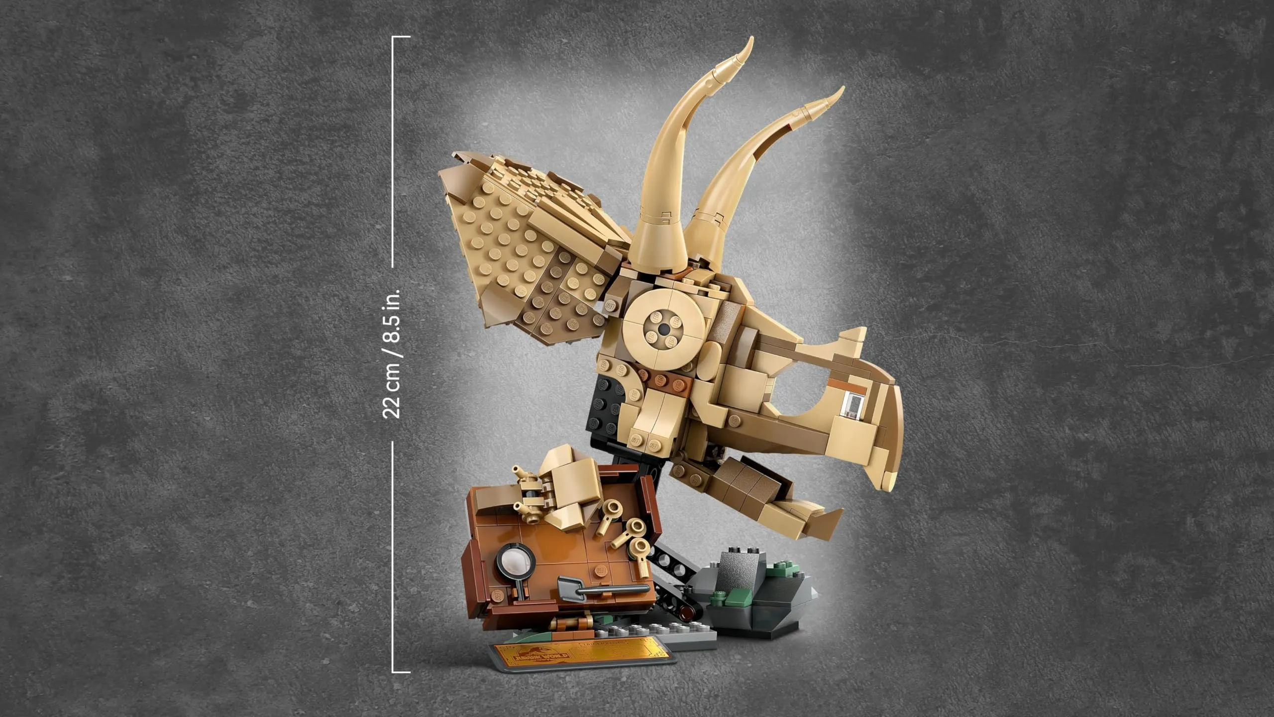 Miniatura 7