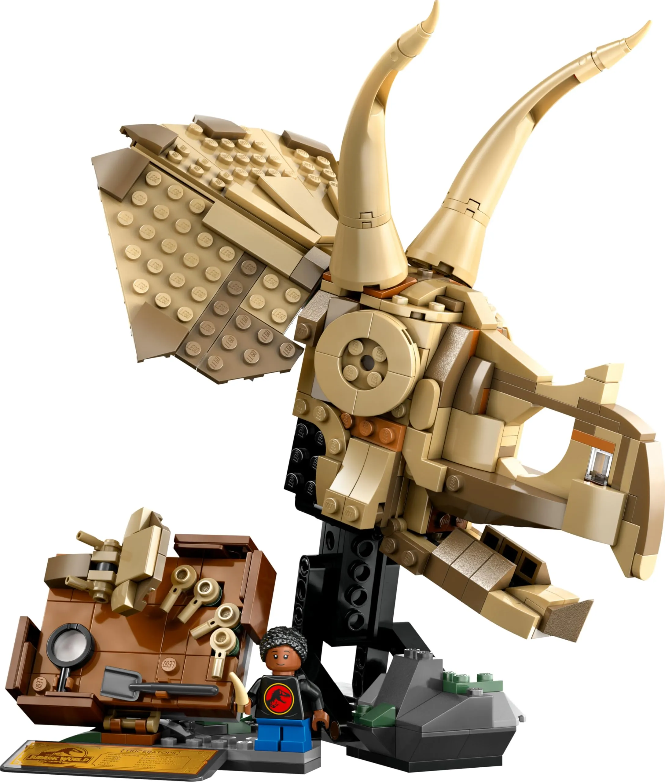 Miniatura 9