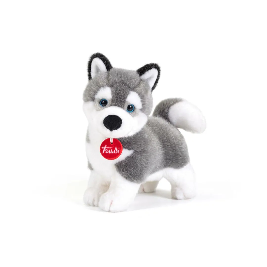 Trudi Husky Marcus Cane peluche gioco, regalo Natale e compleanno | 11x22x21cm taglia S | Classici cani peluche | modello 22271
