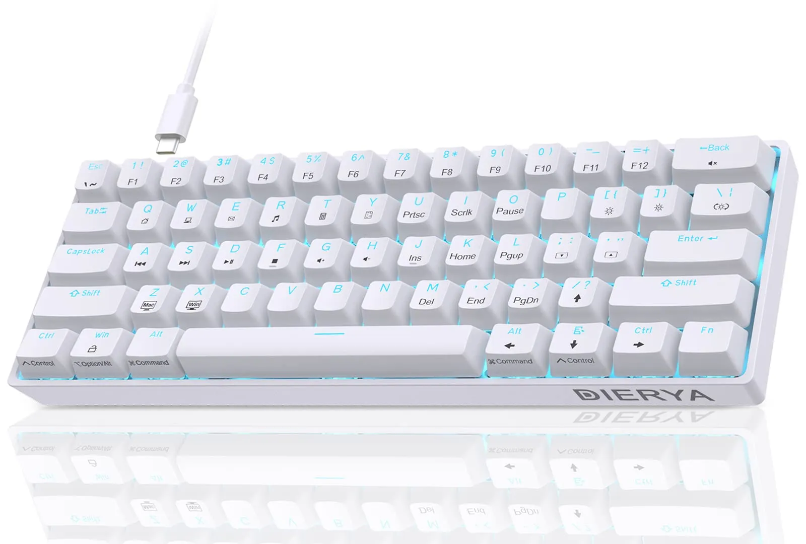 Dierya Tastiera da Gaming Meccanica al 60% con Interruttori Meccanici Clicky,DK61se Keyboard Gioco Retroilluminazione Blu Ghiaccio Type-C Mini Compact 61 Tasti Anti-Ghosting