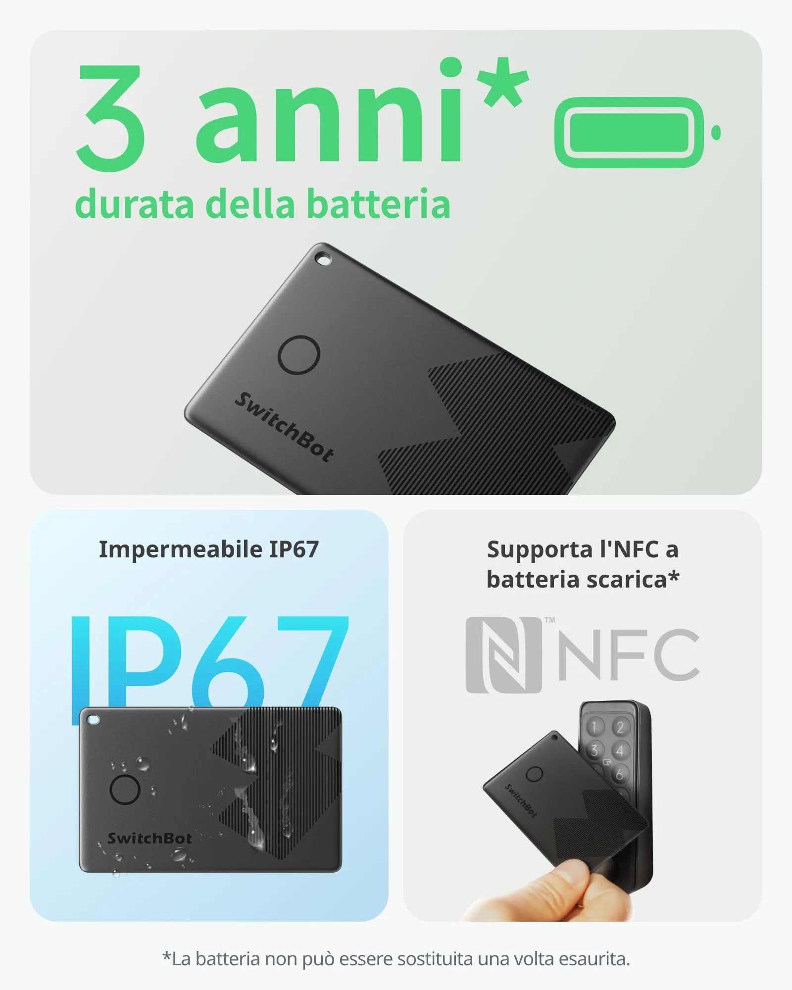Miniatura 10