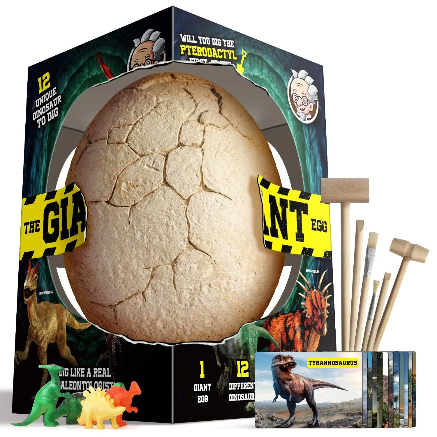 Dr. Daz - Uova Dinosauro Kit di Scavo Uova di Dinosauro 12 figura di dinosauro STEM Giocattoli per 5 6 7 8 9 10 Anni