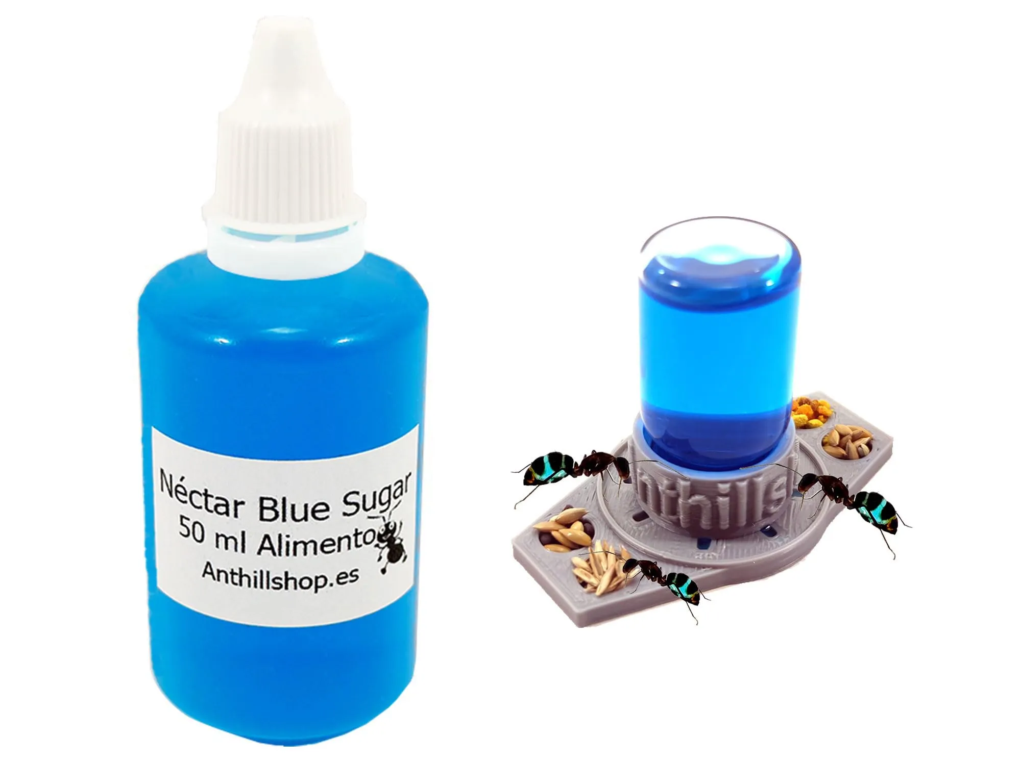 AS AnthillShop Cibo per formiche, Nettare Blue Sugar 50 ml più un abbeveratoio 3D con 4 gocce, Irresistibile per le tue formiche, non può mancare nei tuoi formicai Alimento indispensabile per le tue
