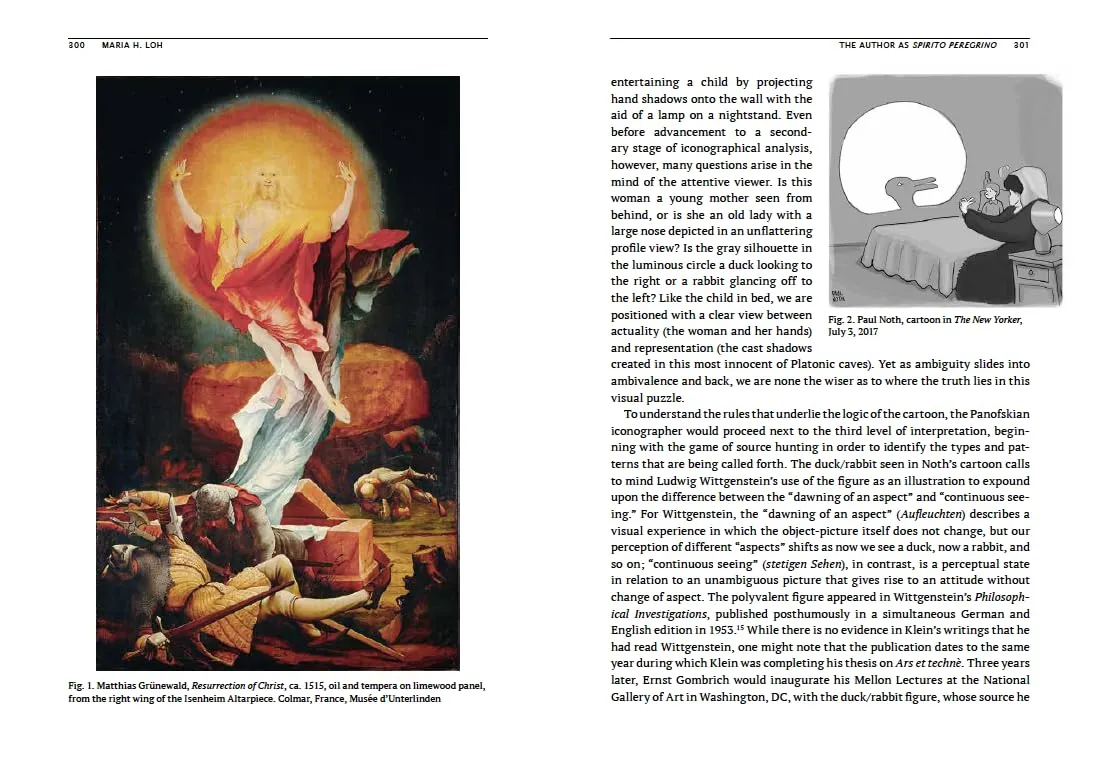 Robert Klein. A meteor in art history and philosophy. Ediz. italiana, inglese e francese
