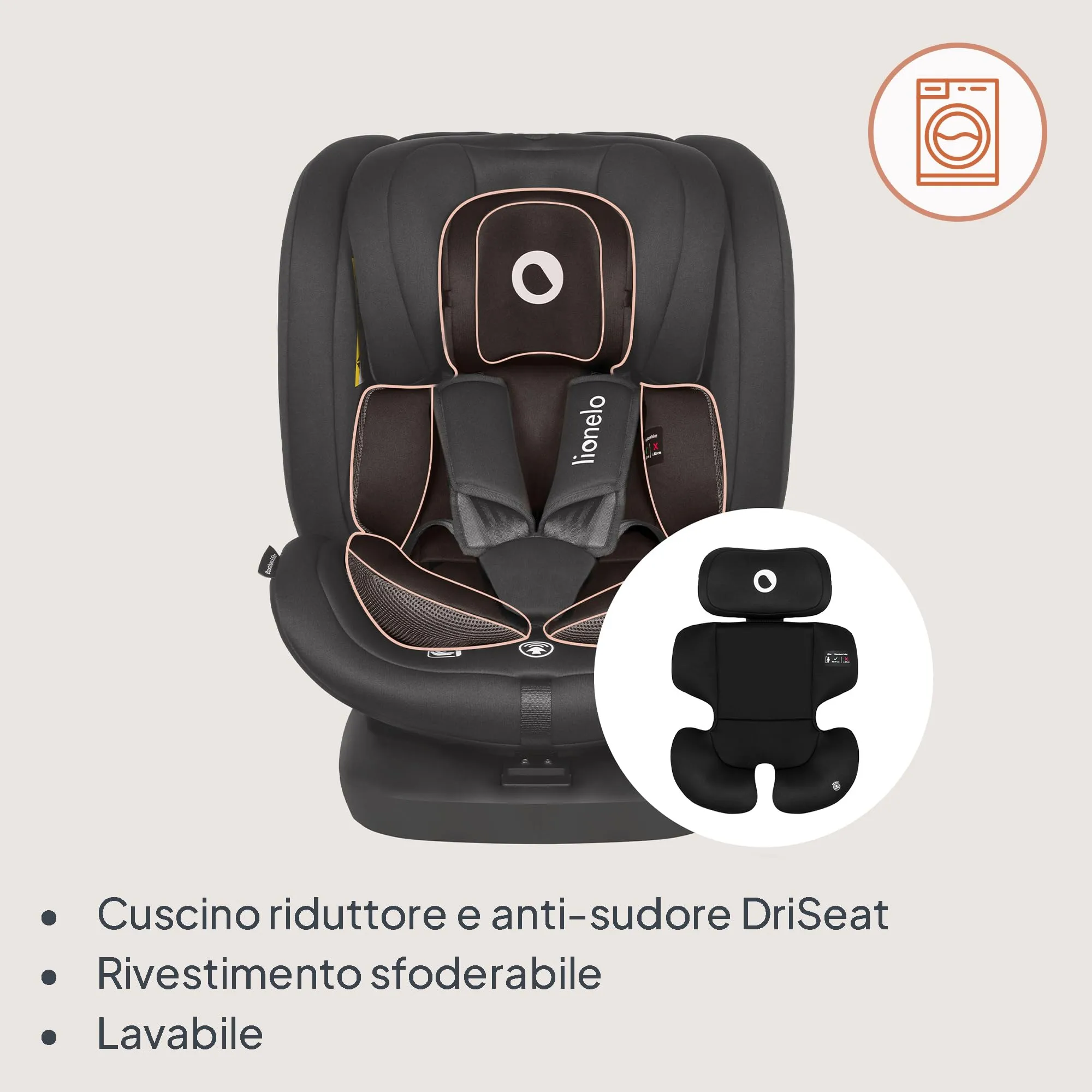 Miniatura 10