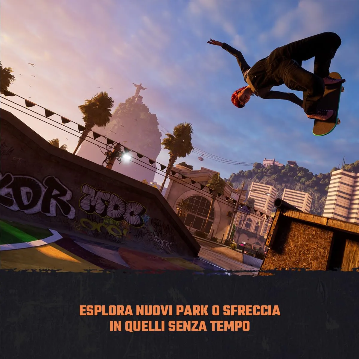 Miniatura 6